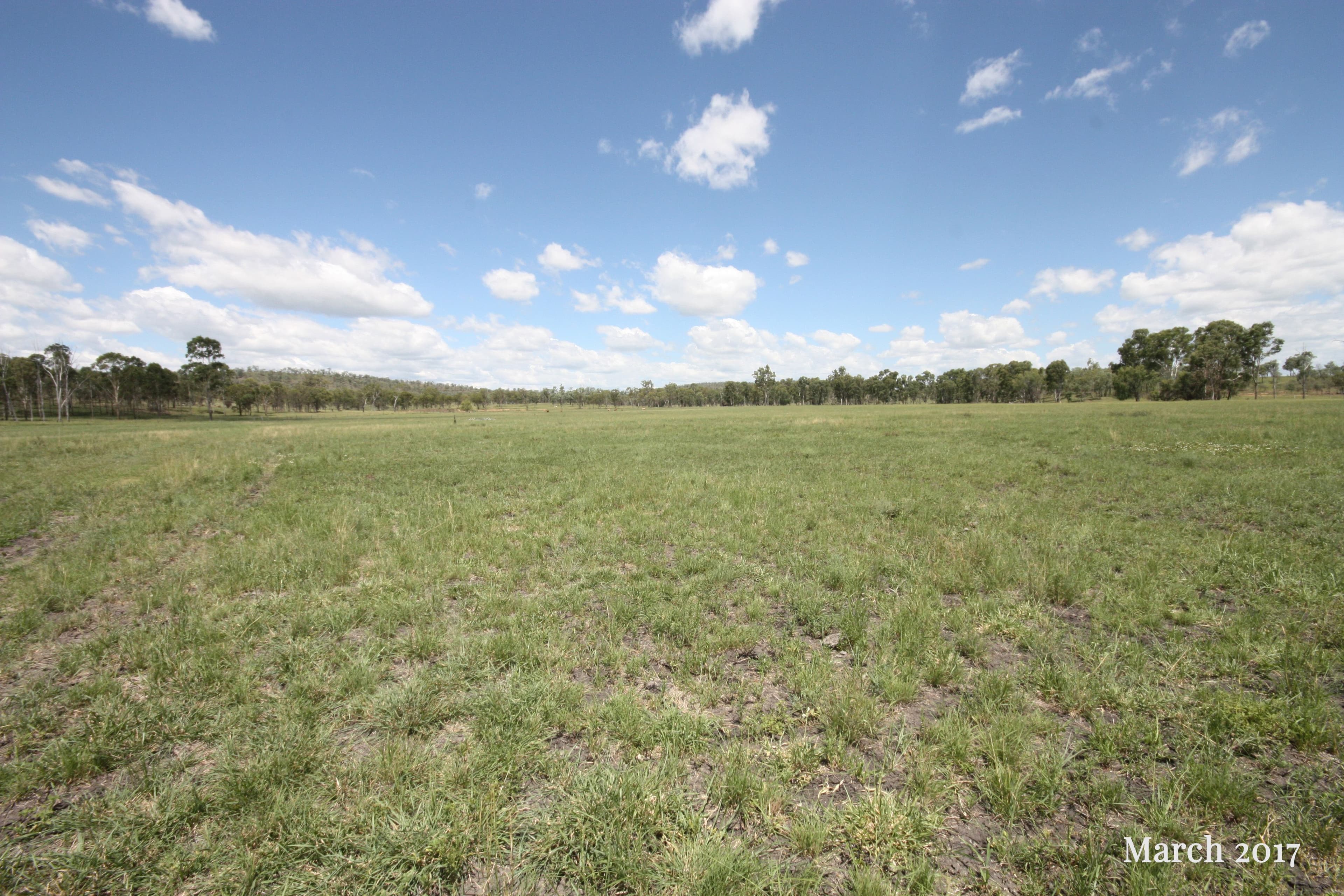 1421 Crowsdale Camboon Road, Prospect QLD 4715, Prospect - Thumbnail 2