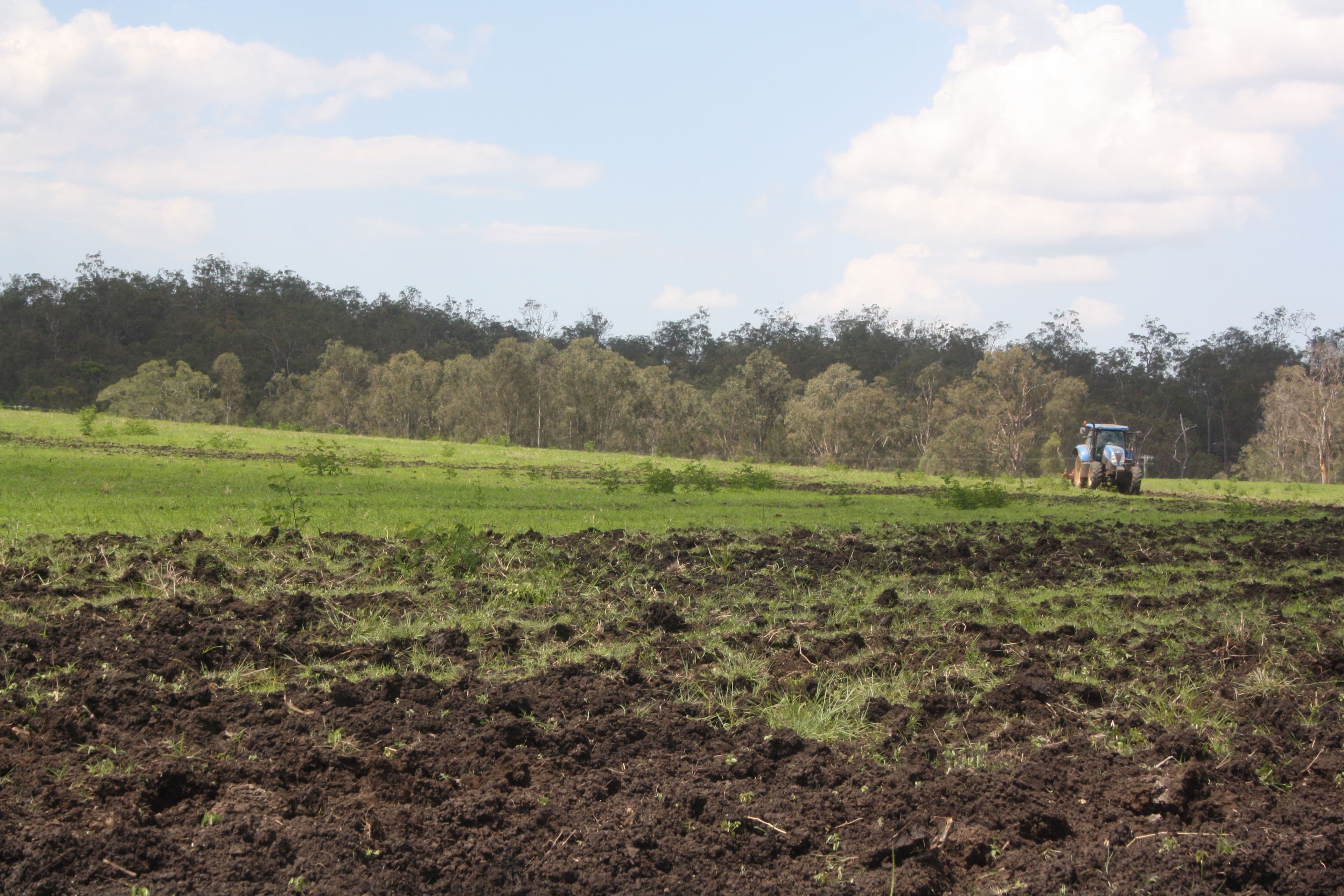 'Aplins' Delan Rd, Delan, Gin Gin QLD 4671, Gin Gin - Thumbnail 2