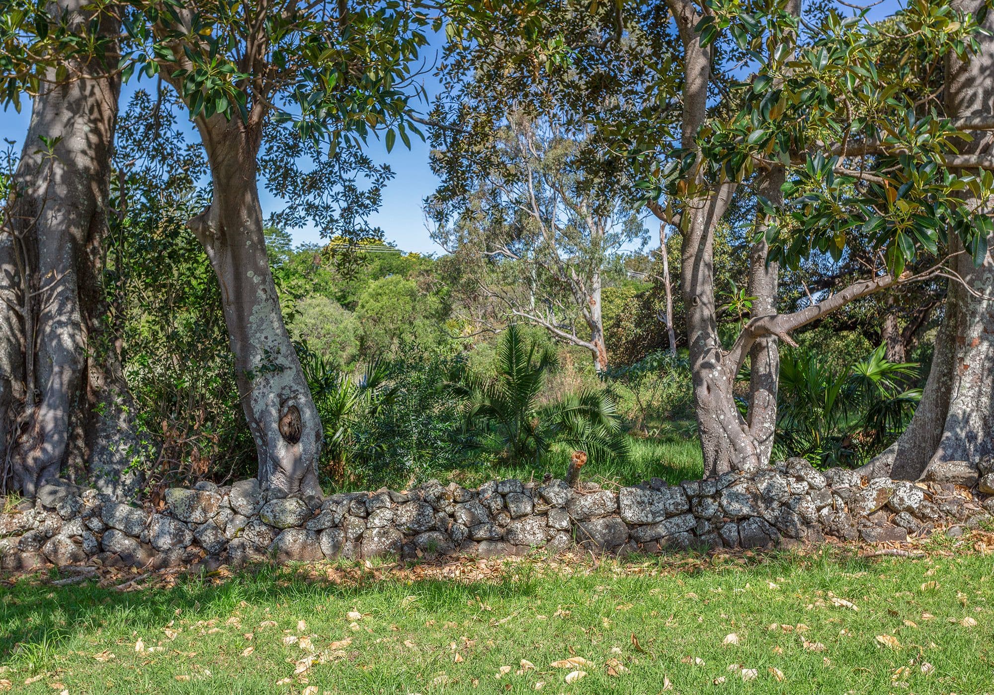 11 Old Saddleback Road, Kiama NSW 2533, Kiama - Thumbnail 3