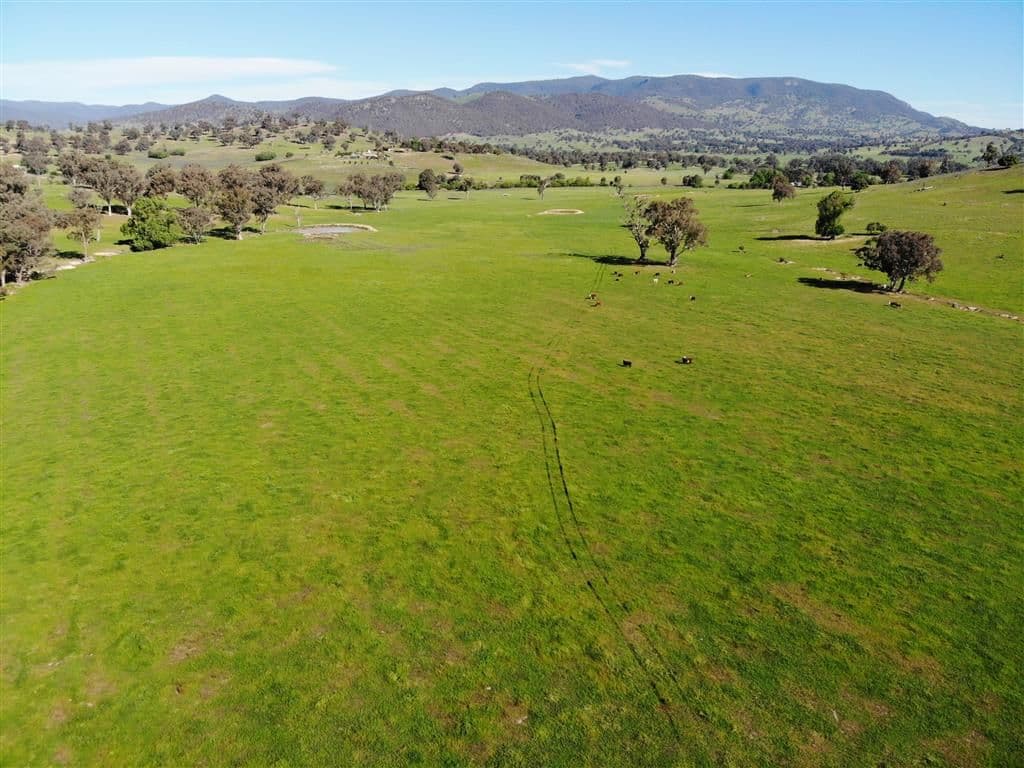 "San Quentin" Lacmalac Road, Tumut NSW 2720, Tumut - Image 1