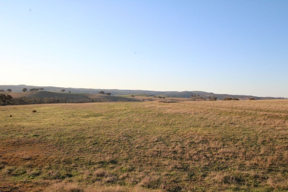 374 Wimbledon Road, Bathurst NSW 2795, Bathurst - Thumbnail 4