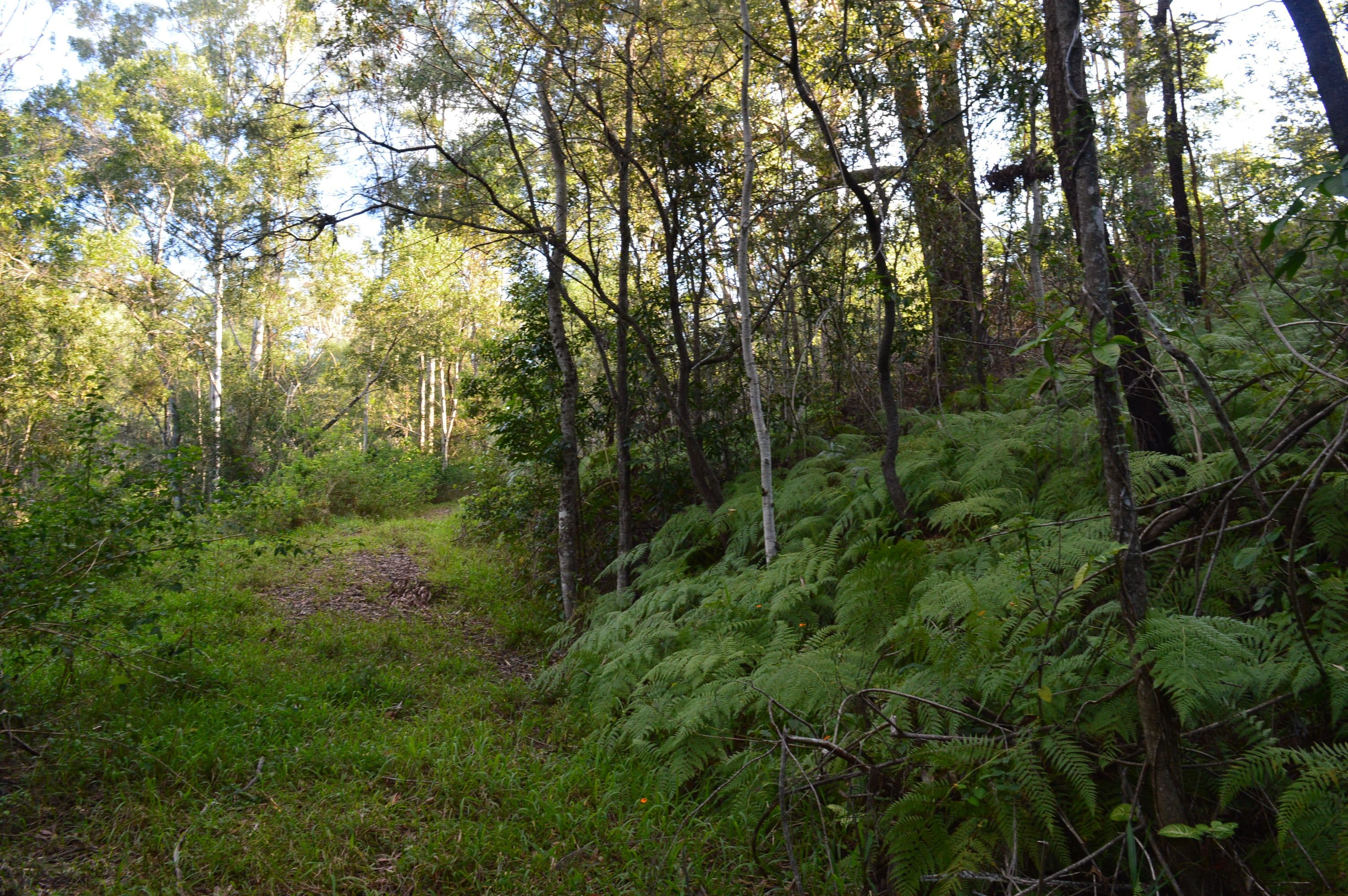 326 Old Peachester Road, Peachester QLD 4519, Peachester - Thumbnail 5