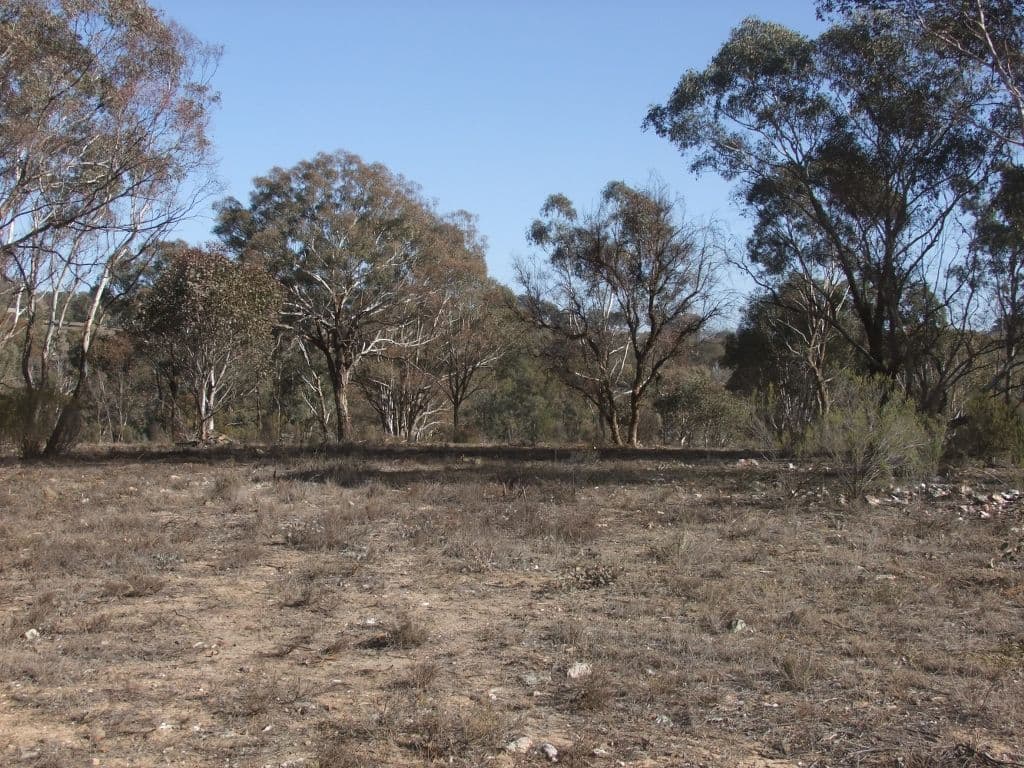 Bathurst NSW 2795, Bathurst - Thumbnail 8