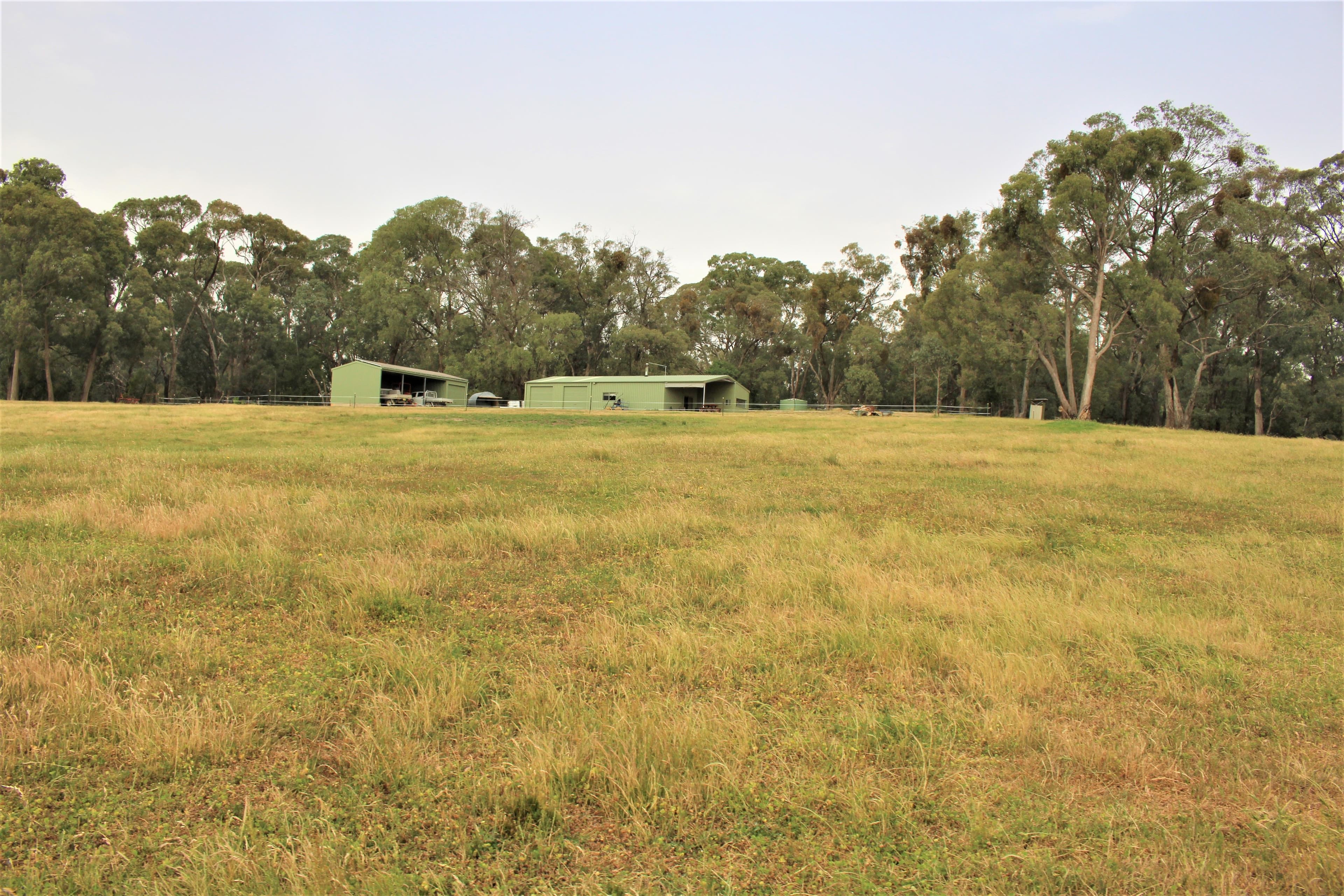 1126 Munderoo Road, Munderoo NSW 2653, Munderoo - Thumbnail 2