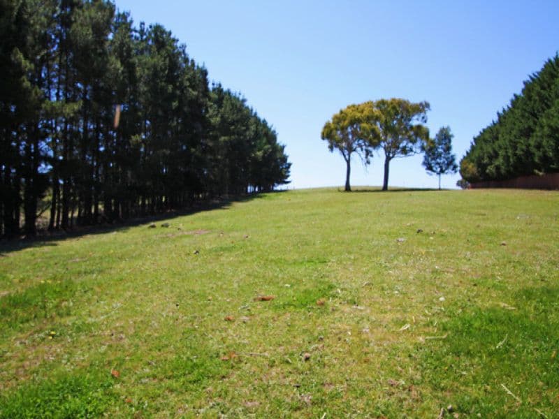78 Taylors Creek Road, Bungendore NSW 2621, Bungendore - Thumbnail 4