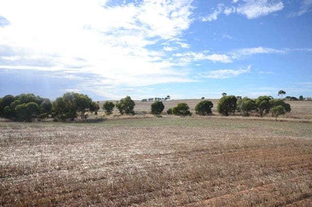 446 Carmody Road, Leighton SA 5417, Leighton - Thumbnail 2