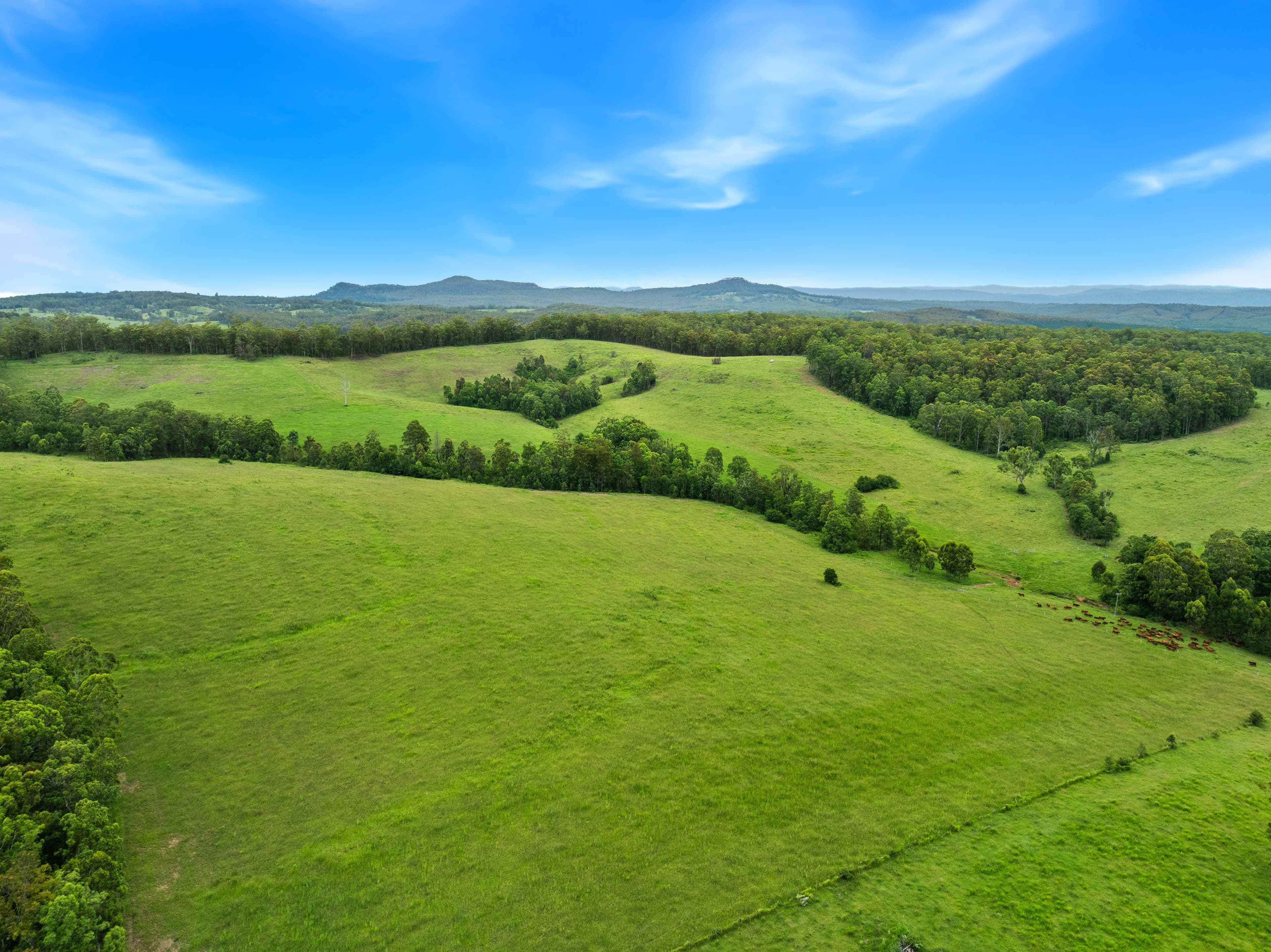 140 Deep Creek Road, Mallanganee NSW 2469, Mallanganee - Thumbnail 3