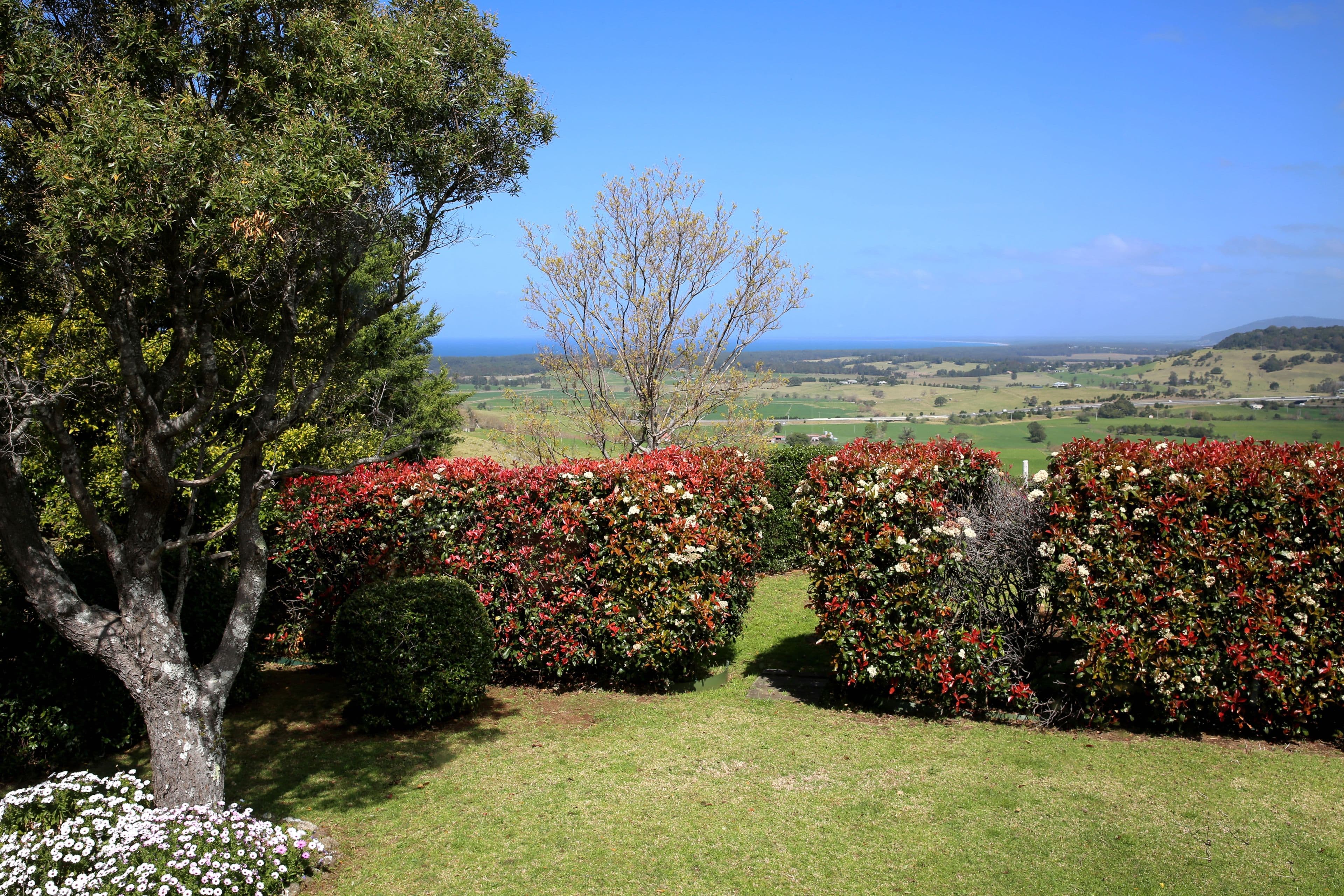 221 Willowvale Road, Gerringong NSW 2534, Gerringong - Image 1