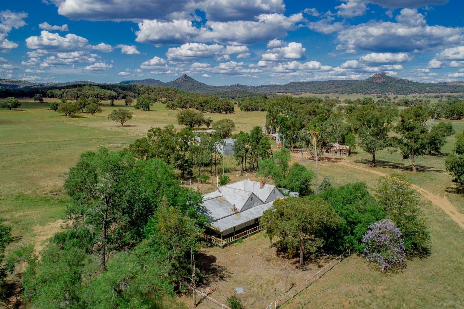 ' CARLTON', Coonabarabran NSW 2357, Coonabarabran - Thumbnail 2