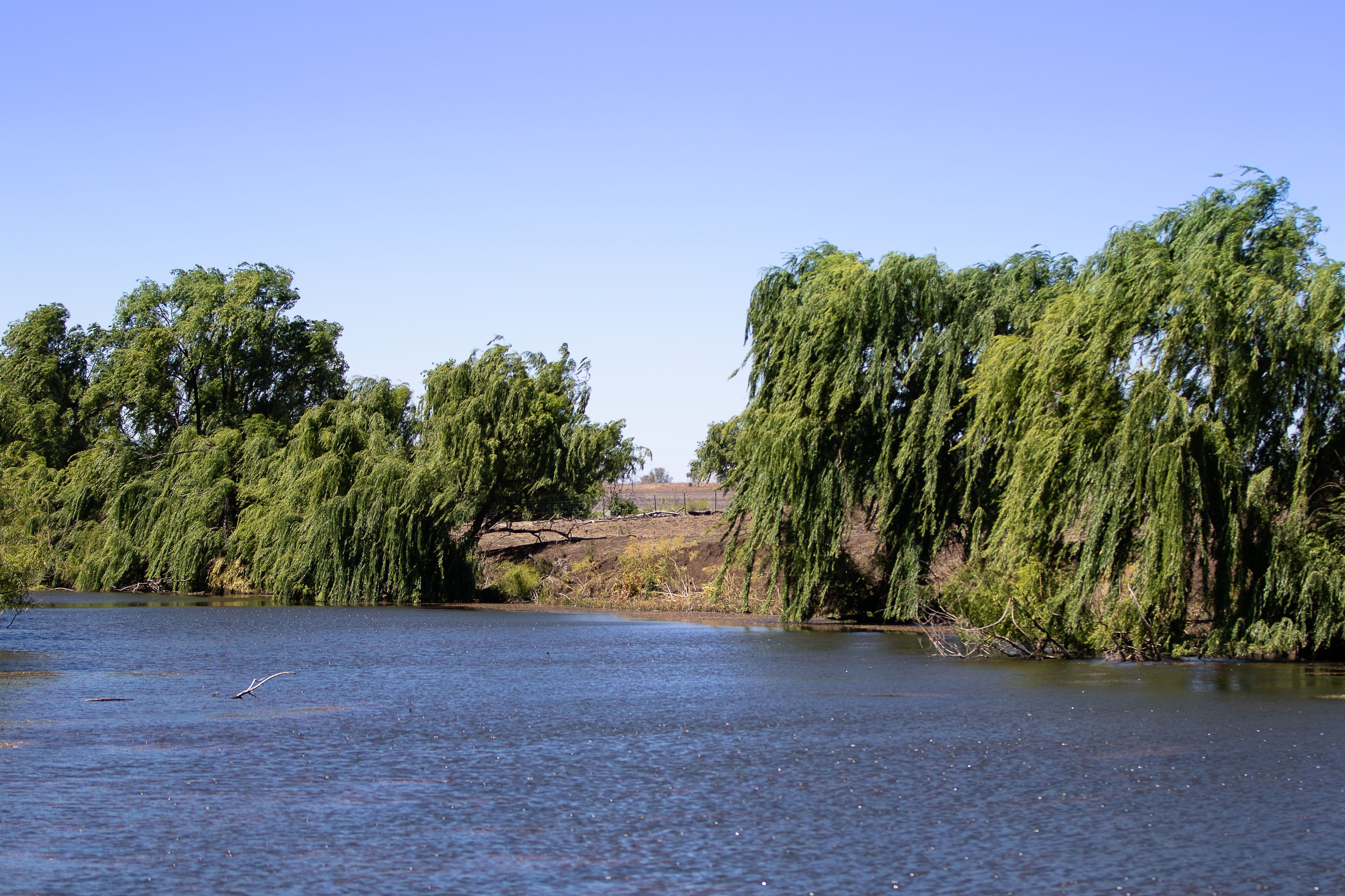 Inverell NSW 2360, Inverell - Thumbnail 5