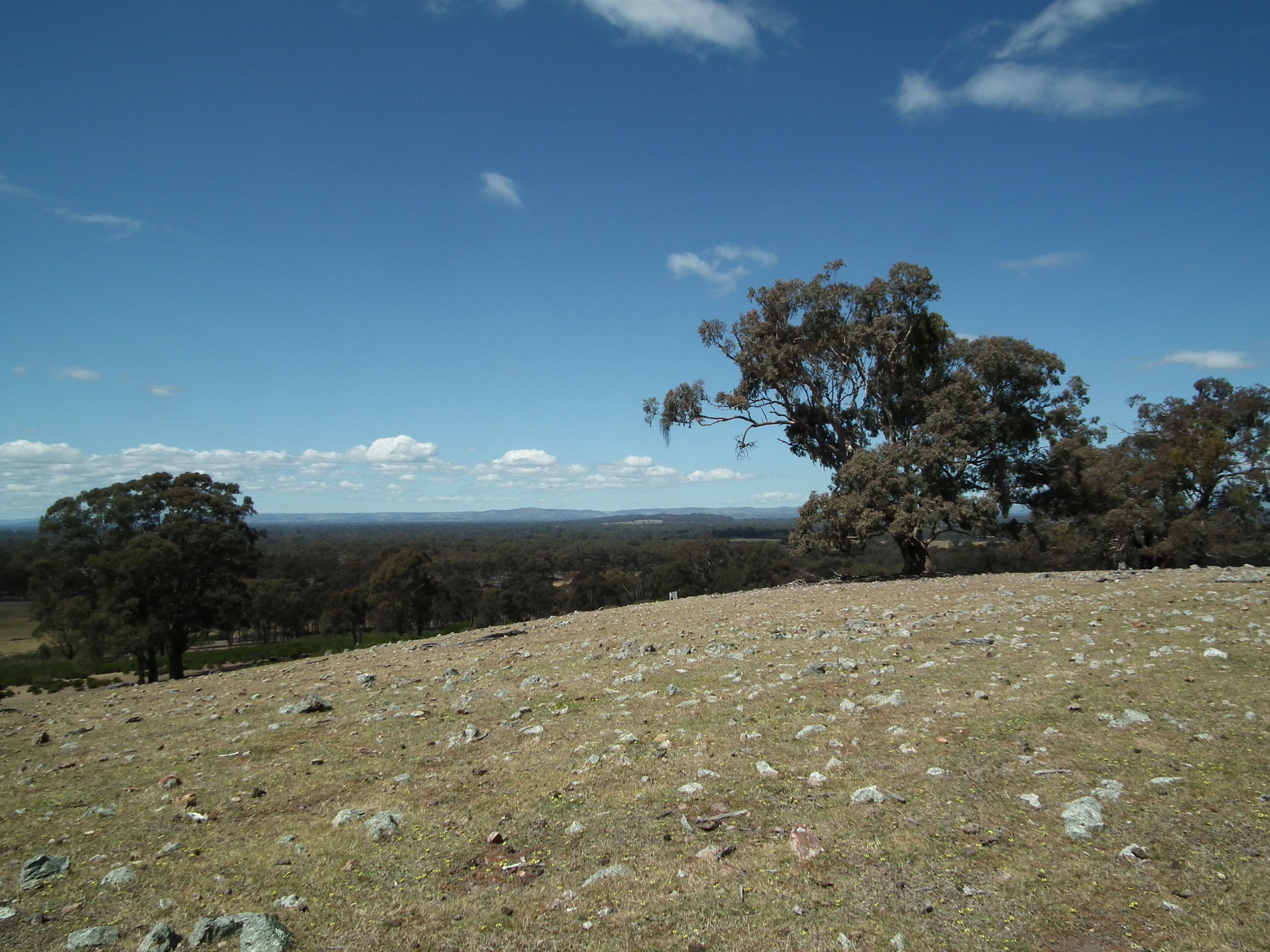 CA 20 and 21 Delaney Road, Nagambie VIC 3608, Nagambie - Thumbnail 7