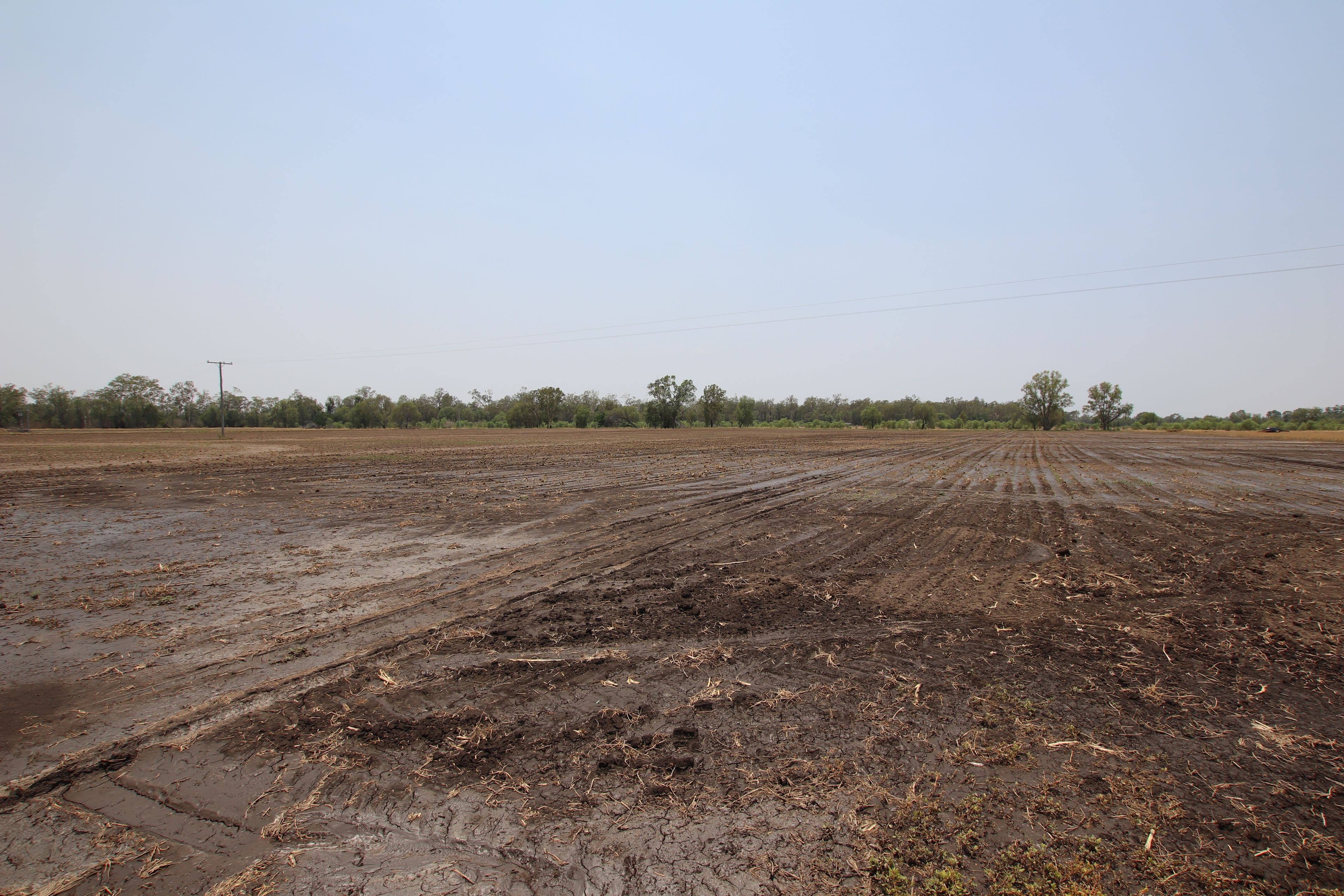 Goovigen QLD 4702, Goovigen - Thumbnail 4