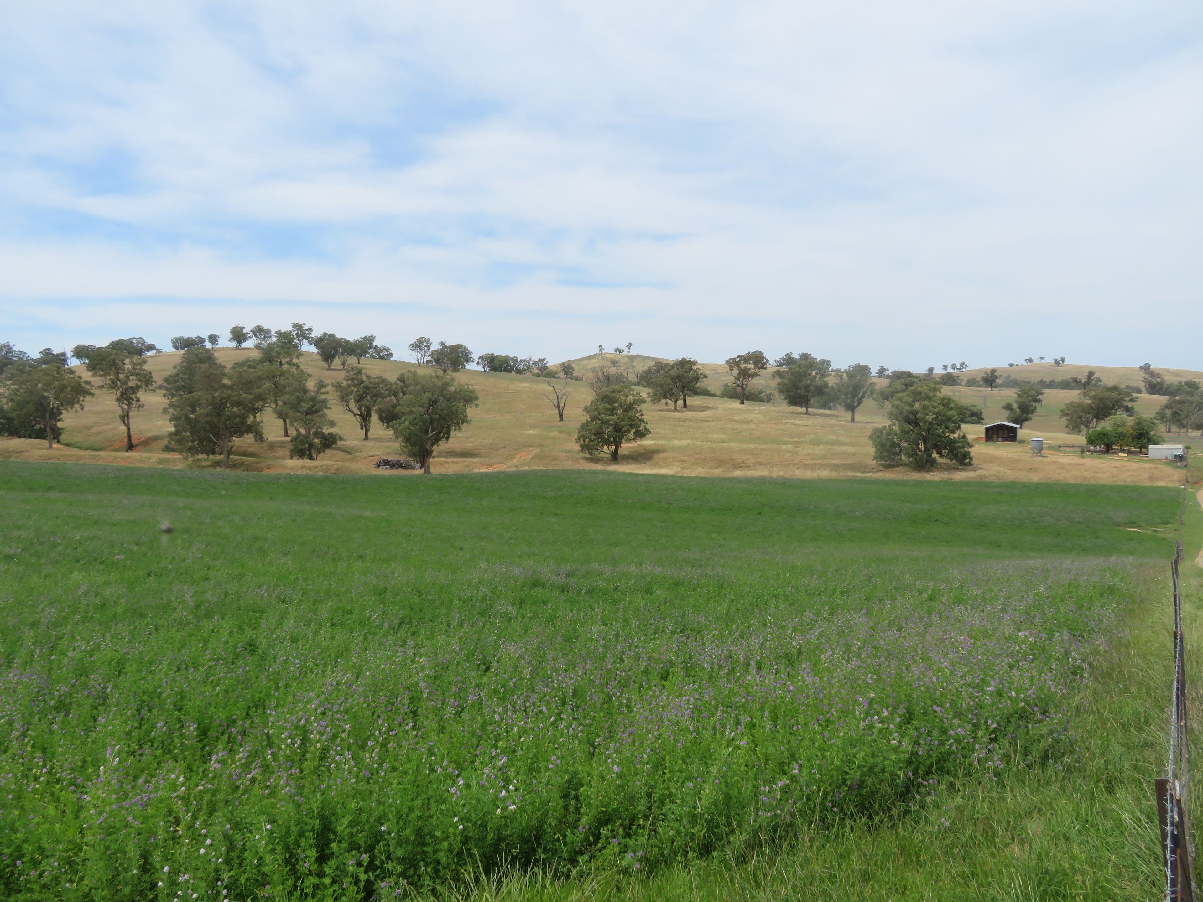 5 Oakhills Road (Nangus), Gundagai NSW 2722, Gundagai - Thumbnail 2