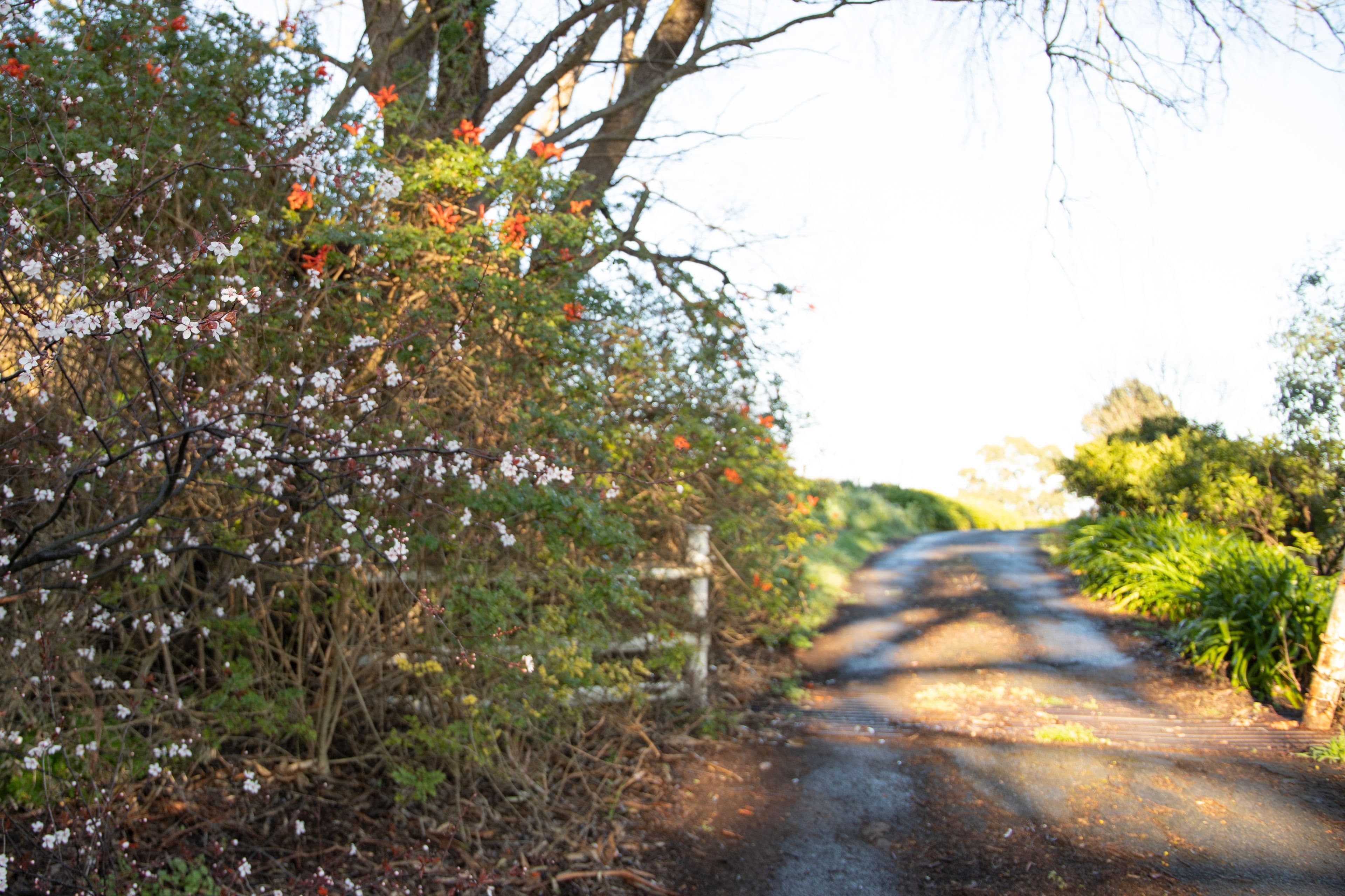 Lot 4, 240A Chandlers Hill Road, Happy Valley SA 5159, Happy Valley - Thumbnail 3