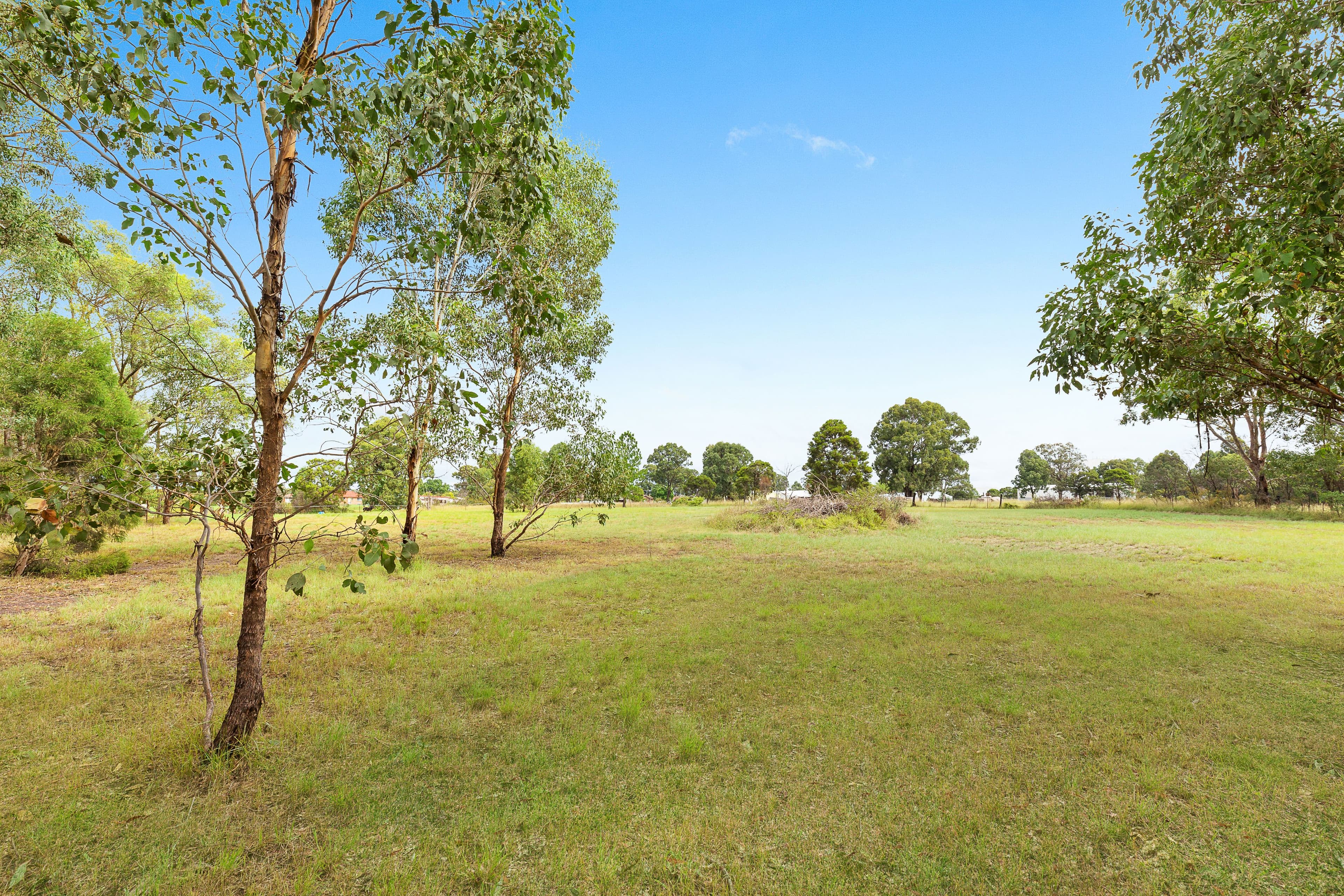 29 Vine Street, Schofields NSW 2762, Schofields - Thumbnail 4