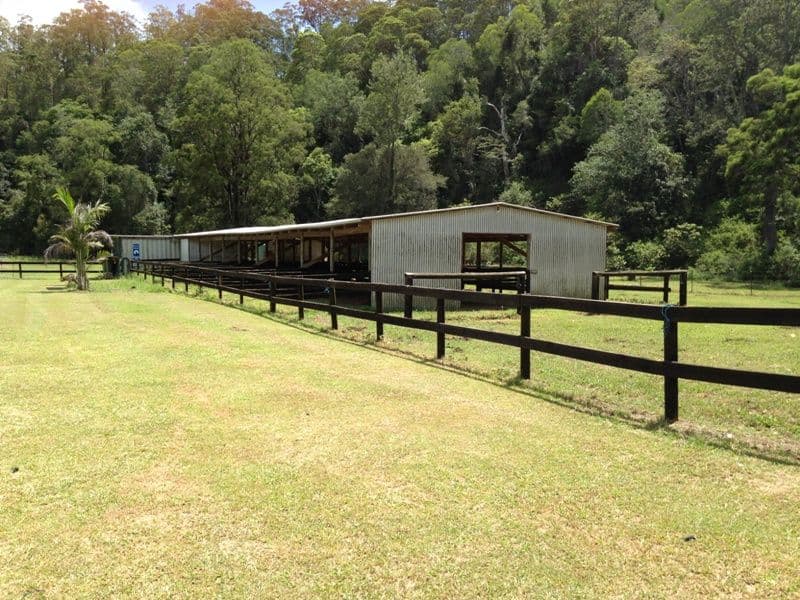 21 Memorial Drive, Upper Coomera QLD 4209, Upper Coomera - Thumbnail 7