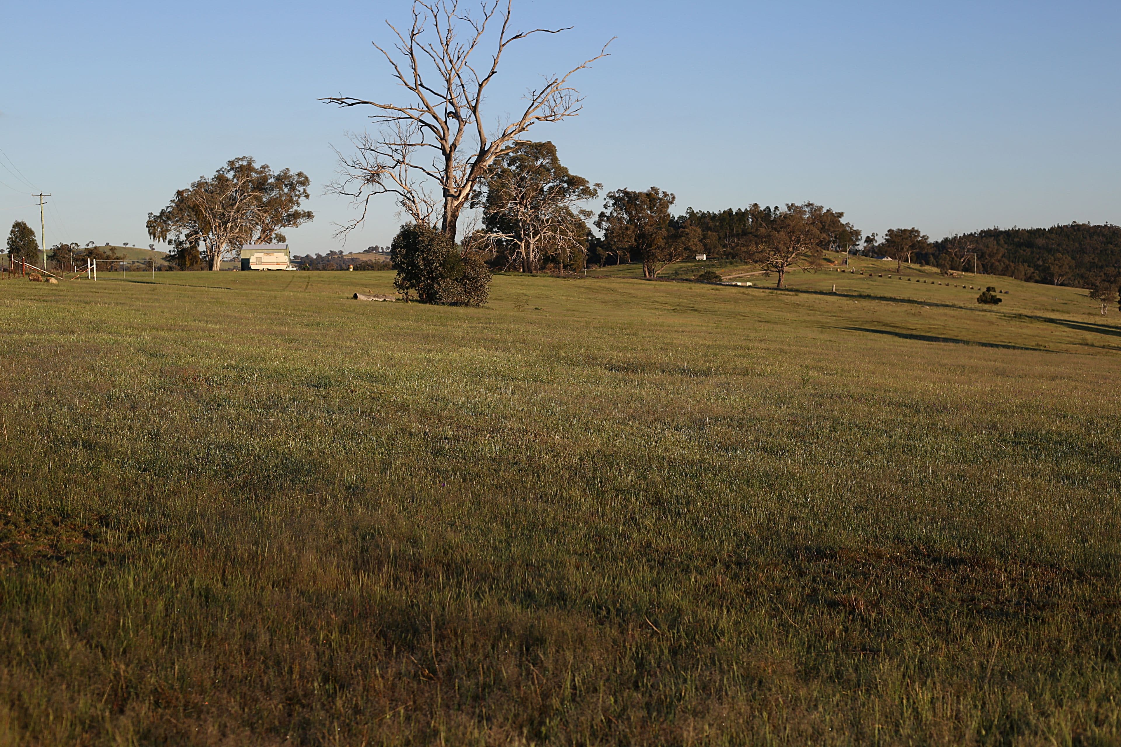 268 Horton Drive, Woodstock NSW 2793, Woodstock - Thumbnail 5