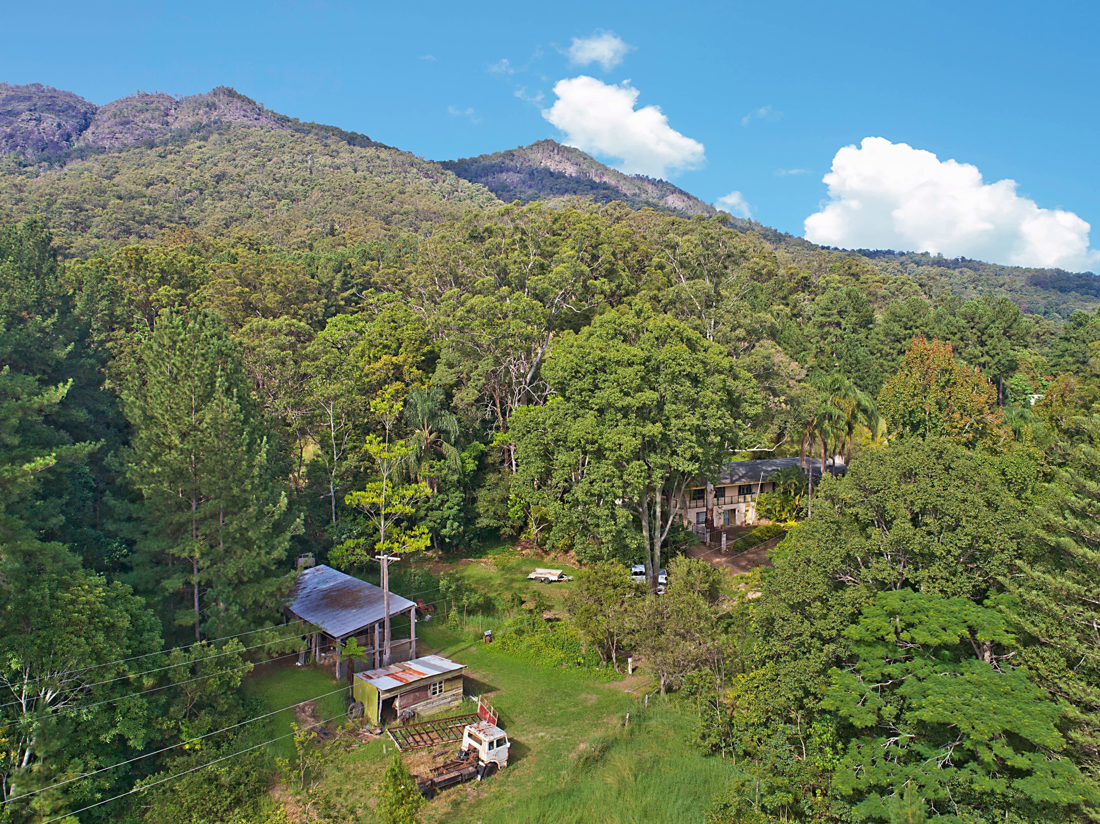 935 Tyalgum Road, Eungella NSW 2484, Eungella - Thumbnail 5