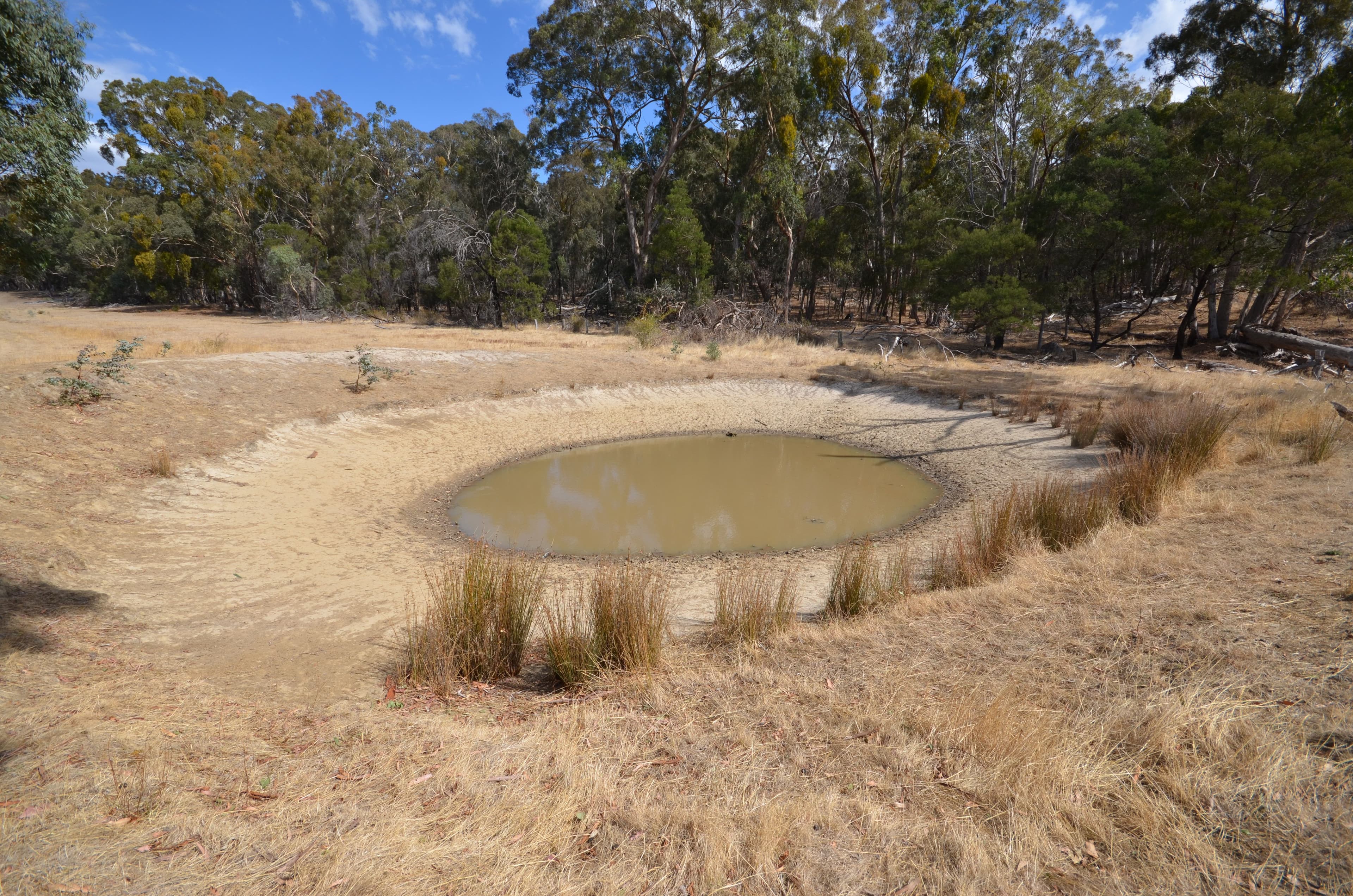 "Darbyshire" Hickman Creek Road, Glenlogie VIC 3469, Glenlogie - Thumbnail 7