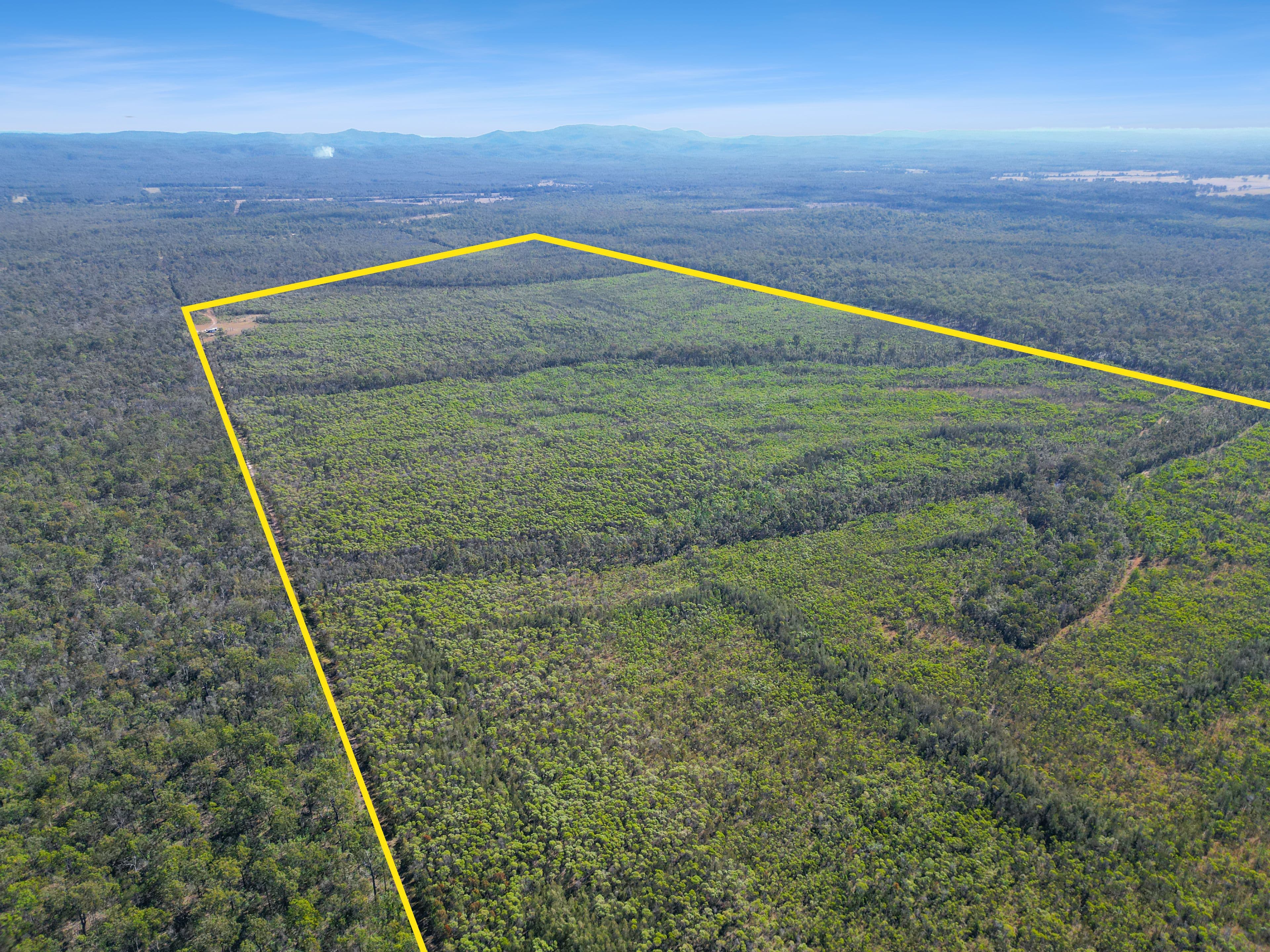 1226 Old Tenterfield Road, Camira NSW 2469, Camira - Thumbnail 6