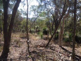 187 McKey Road, Crossdale QLD 4312, Crossdale - Thumbnail 5