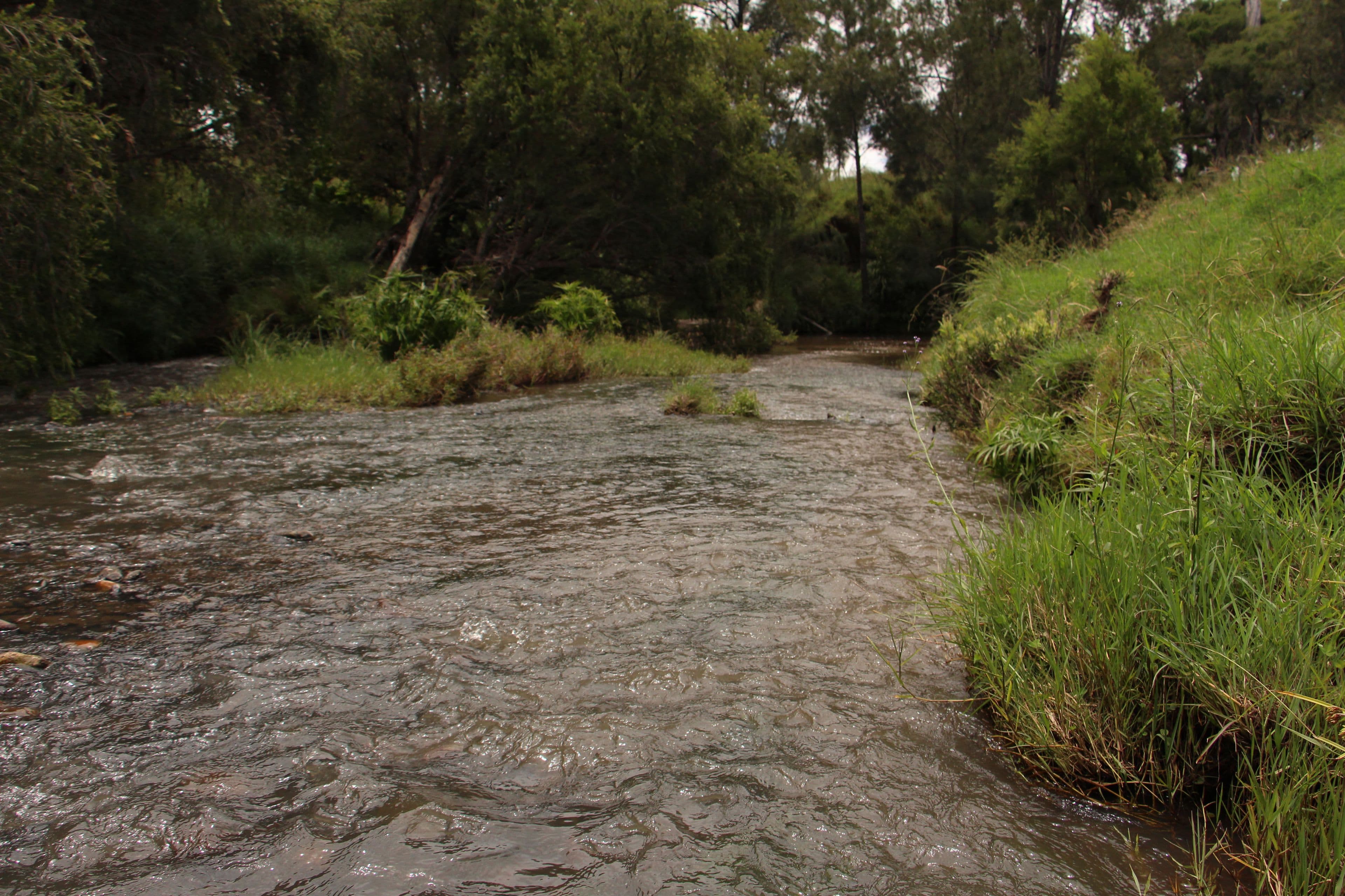 604 Running Creek Road, Running Creek QLD 4287, Running Creek - Thumbnail 3