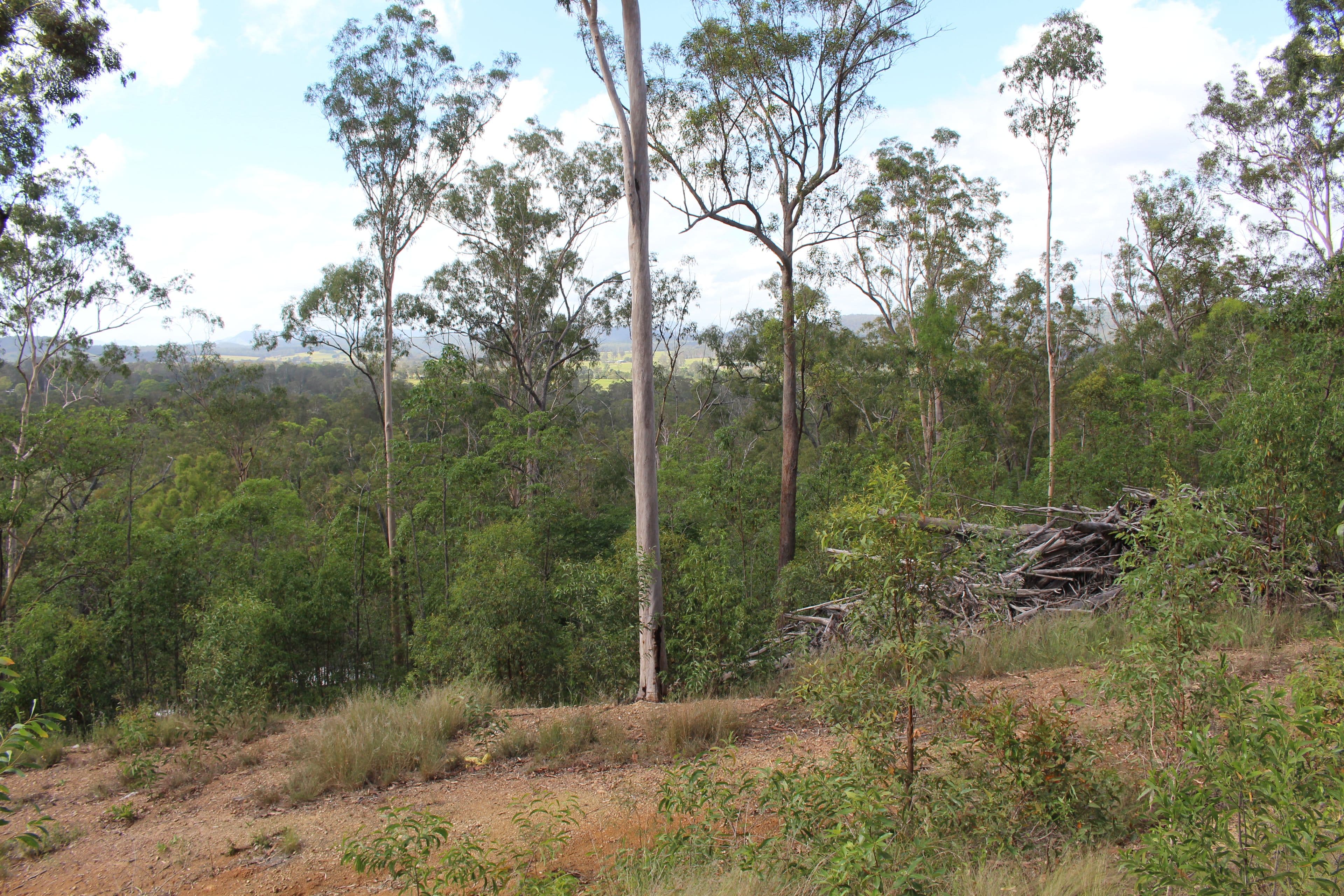 0 Dan Meurant Drive, Curra QLD 4570, Curra - Thumbnail 5