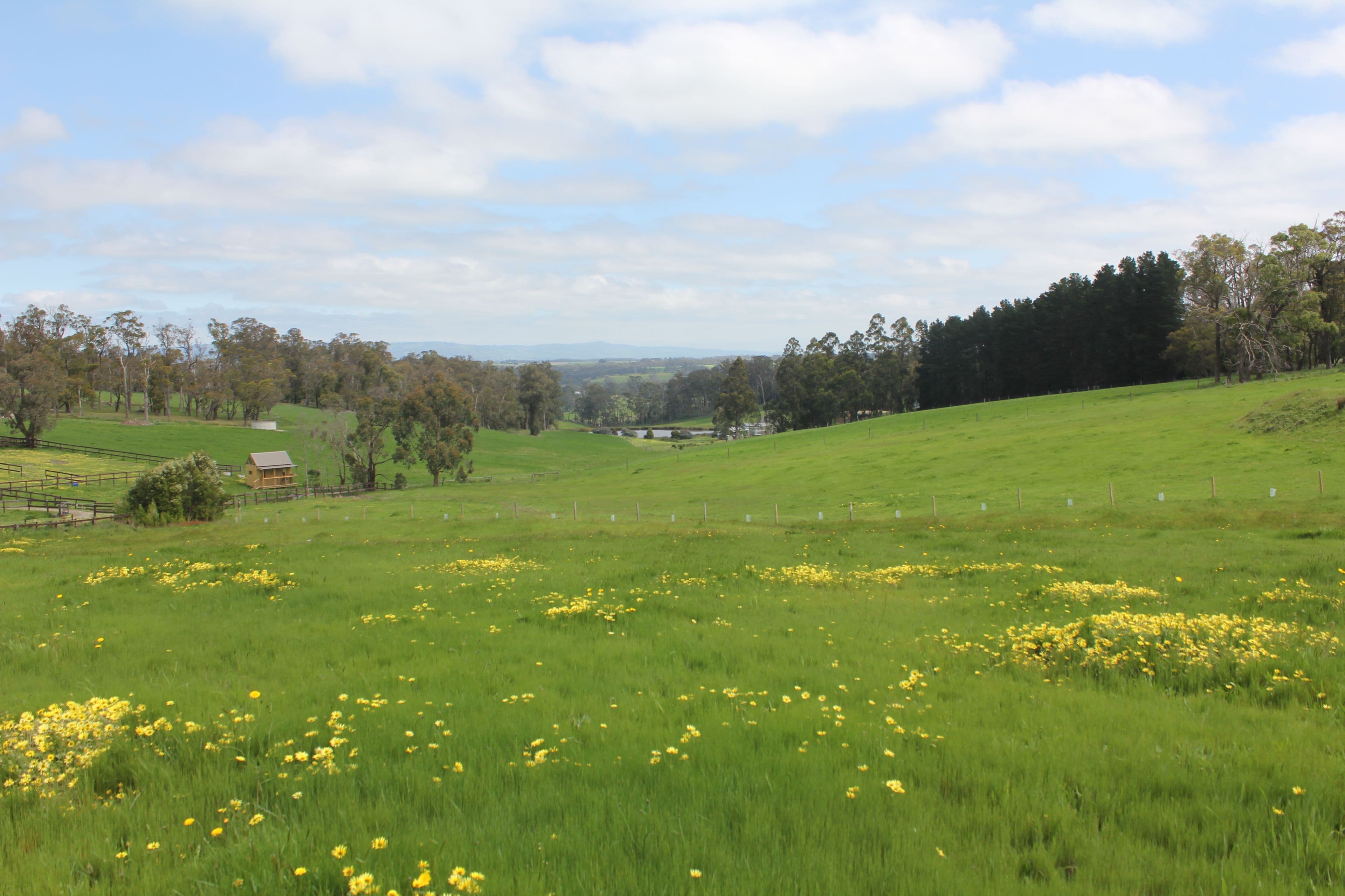 1612 Willow Grove Road, Willow Grove VIC 3825, Willow Grove - Thumbnail 3