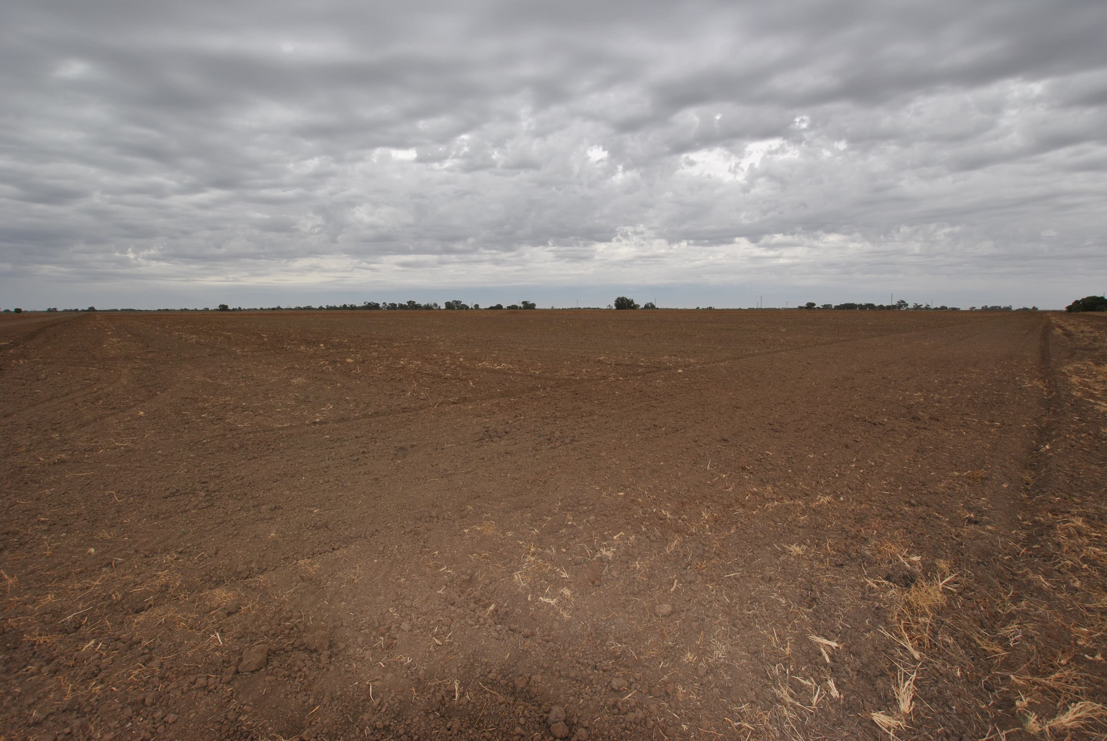 Farm 919 Irrigation Way, Whitton NSW 2705, Whitton - Thumbnail 4