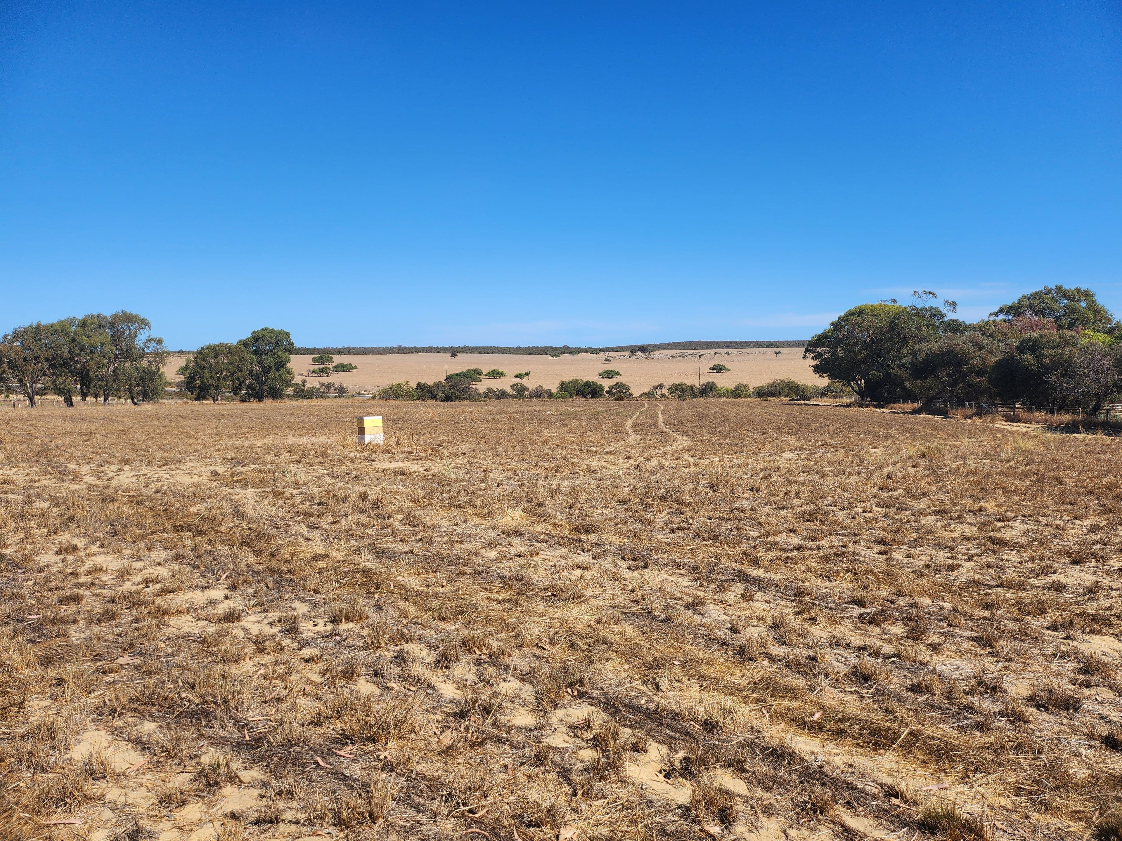 LOT 171 Blue Gum Crescent, Gabbadah WA 6041, Gabbadah - Thumbnail 5