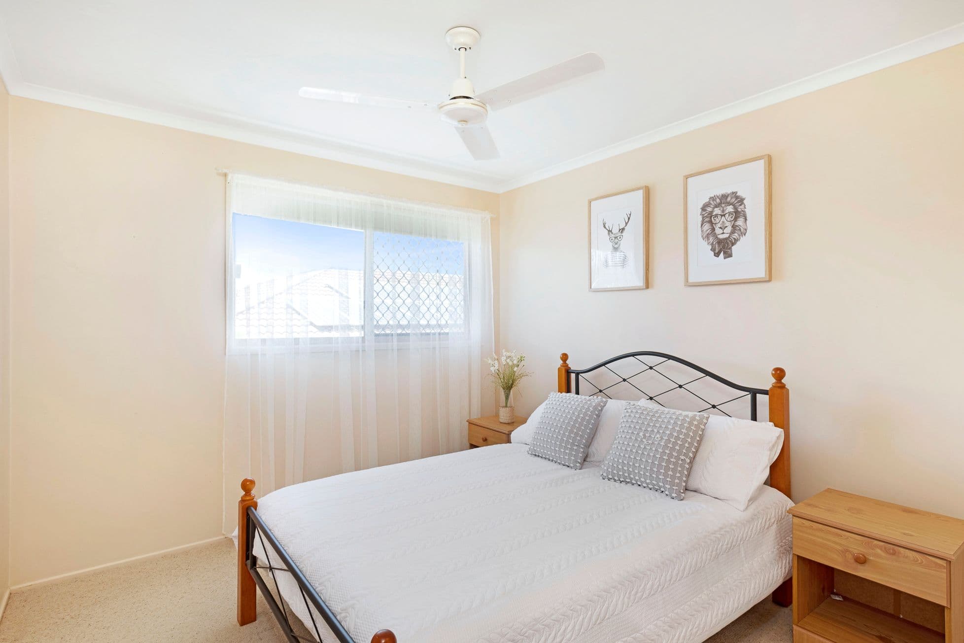 19 Cocas Drive, Avoca QLD 4670, Avoca - Thumbnail 3
