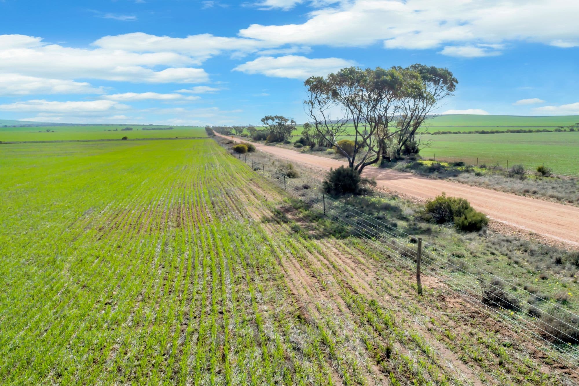 "Forrest" Scott Road, South Hummocks SA 5550, South Hummocks - Thumbnail 6