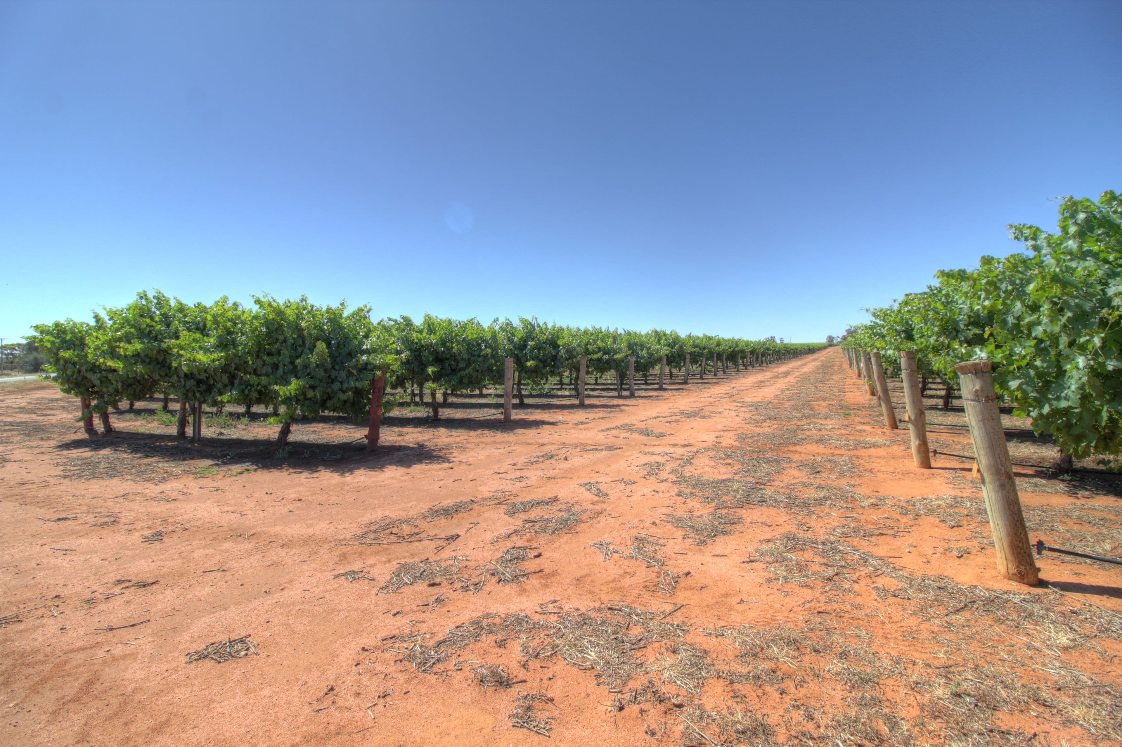 Lots 10,11,50 Eastern Road, Monash SA 5342, Monash - Image 1