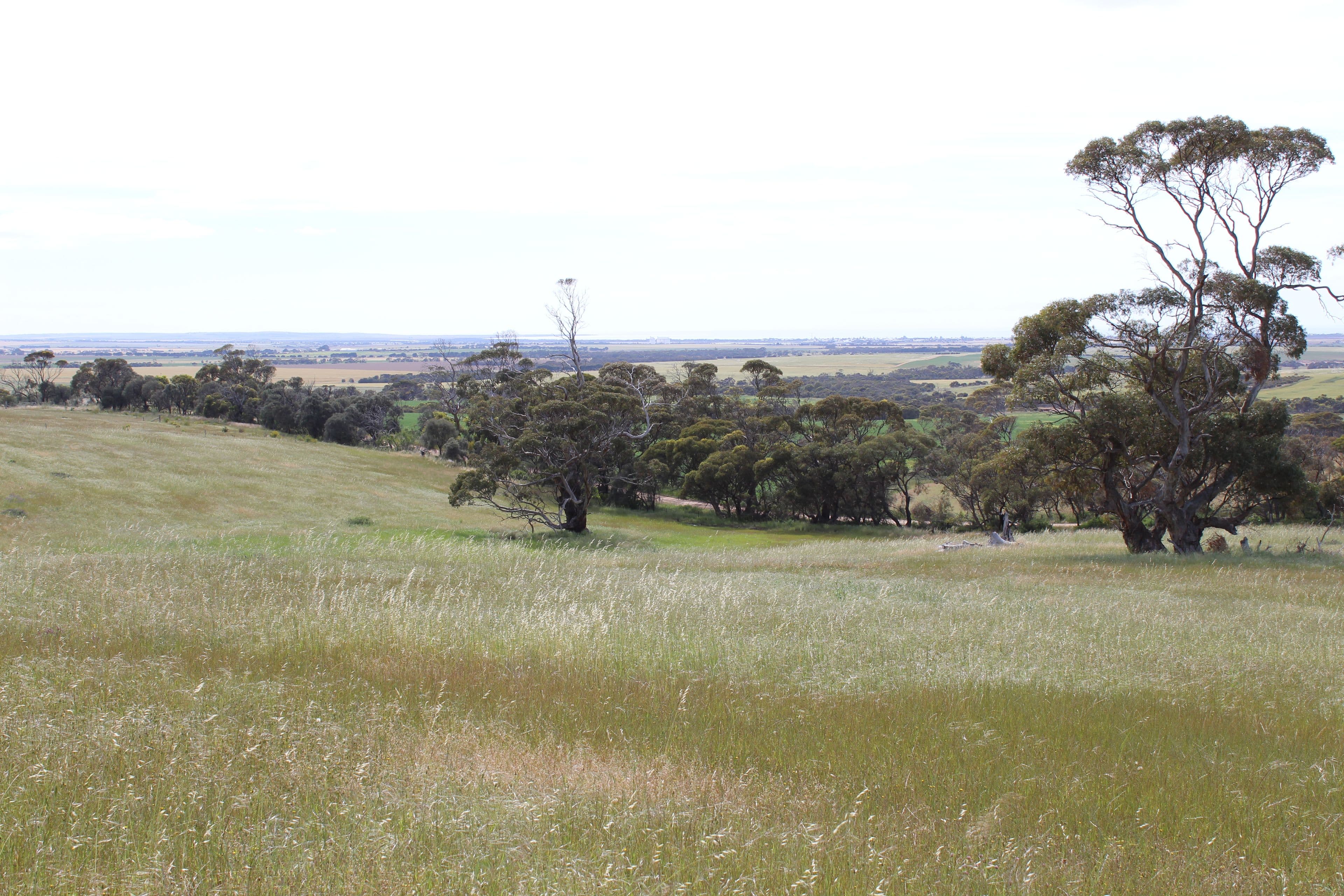 Lot 17 Foothills Road, Tumby Bay SA 5605, Tumby Bay - Thumbnail 5
