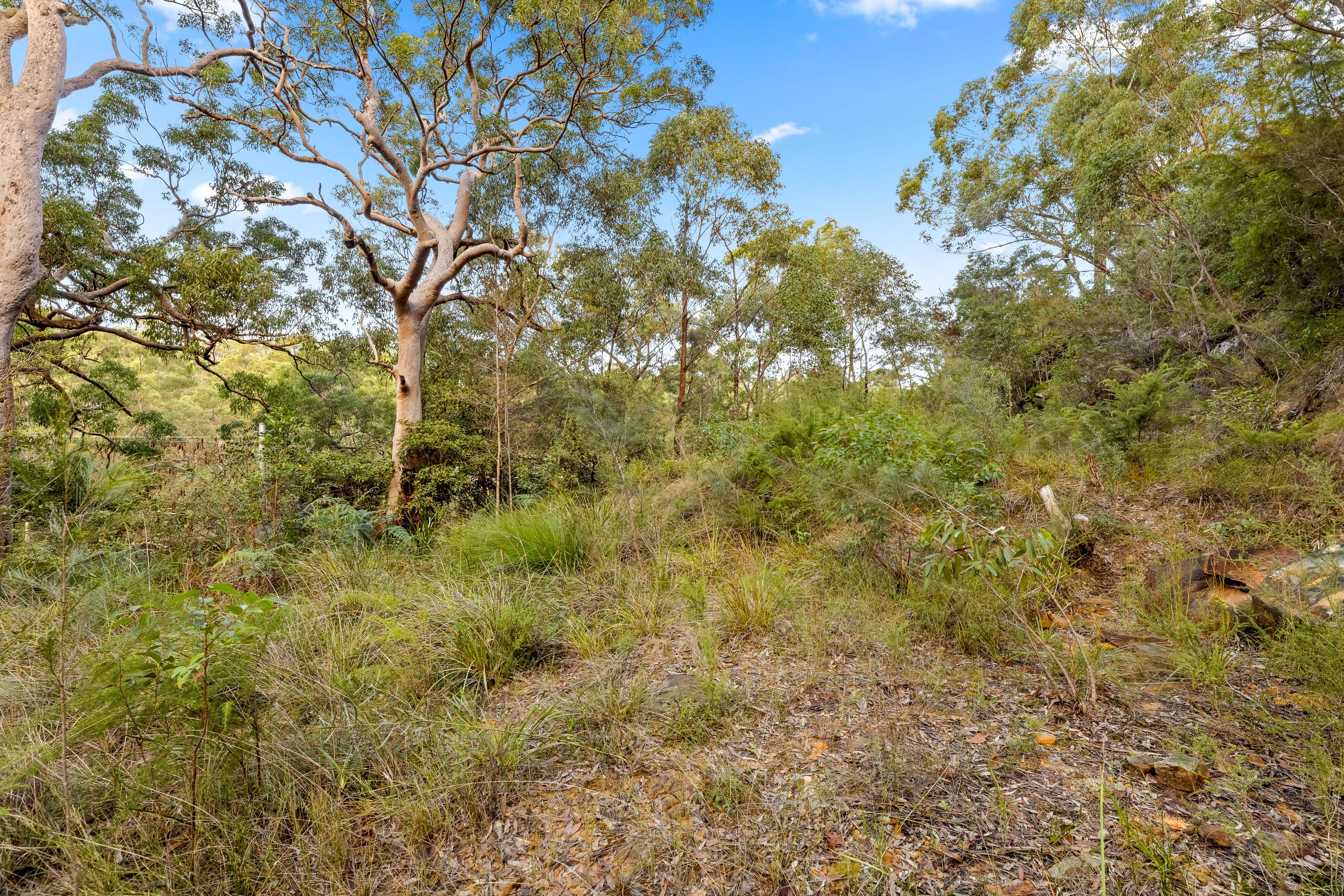 59 Old Ferry Road, Illawong NSW 2234, Illawong - Thumbnail 4
