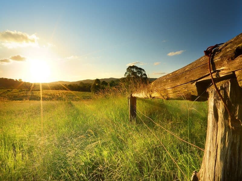 Lot 16 Hereford Close, Kingsholme QLD 4208, Kingsholme - Thumbnail 7