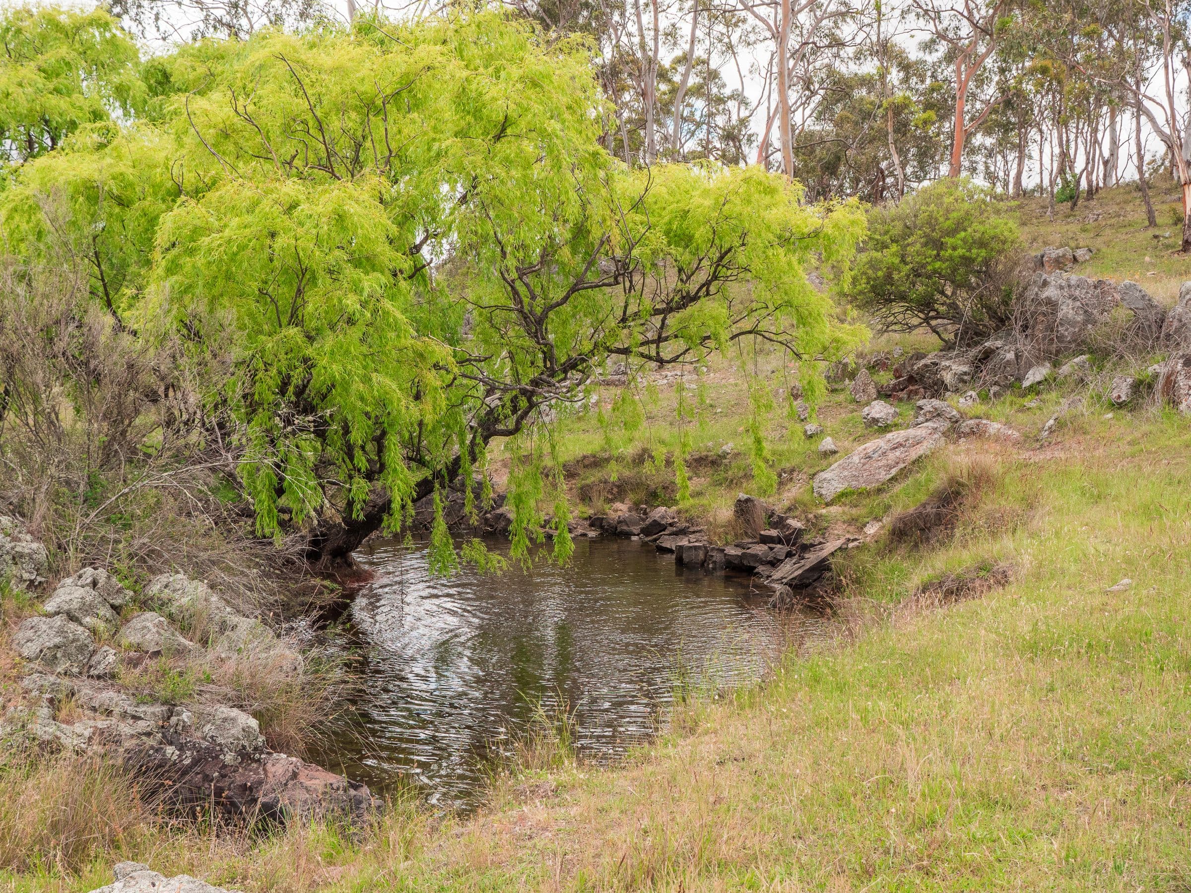 511 Long Swamp Road, Armidale NSW 2350, Armidale - Thumbnail 3