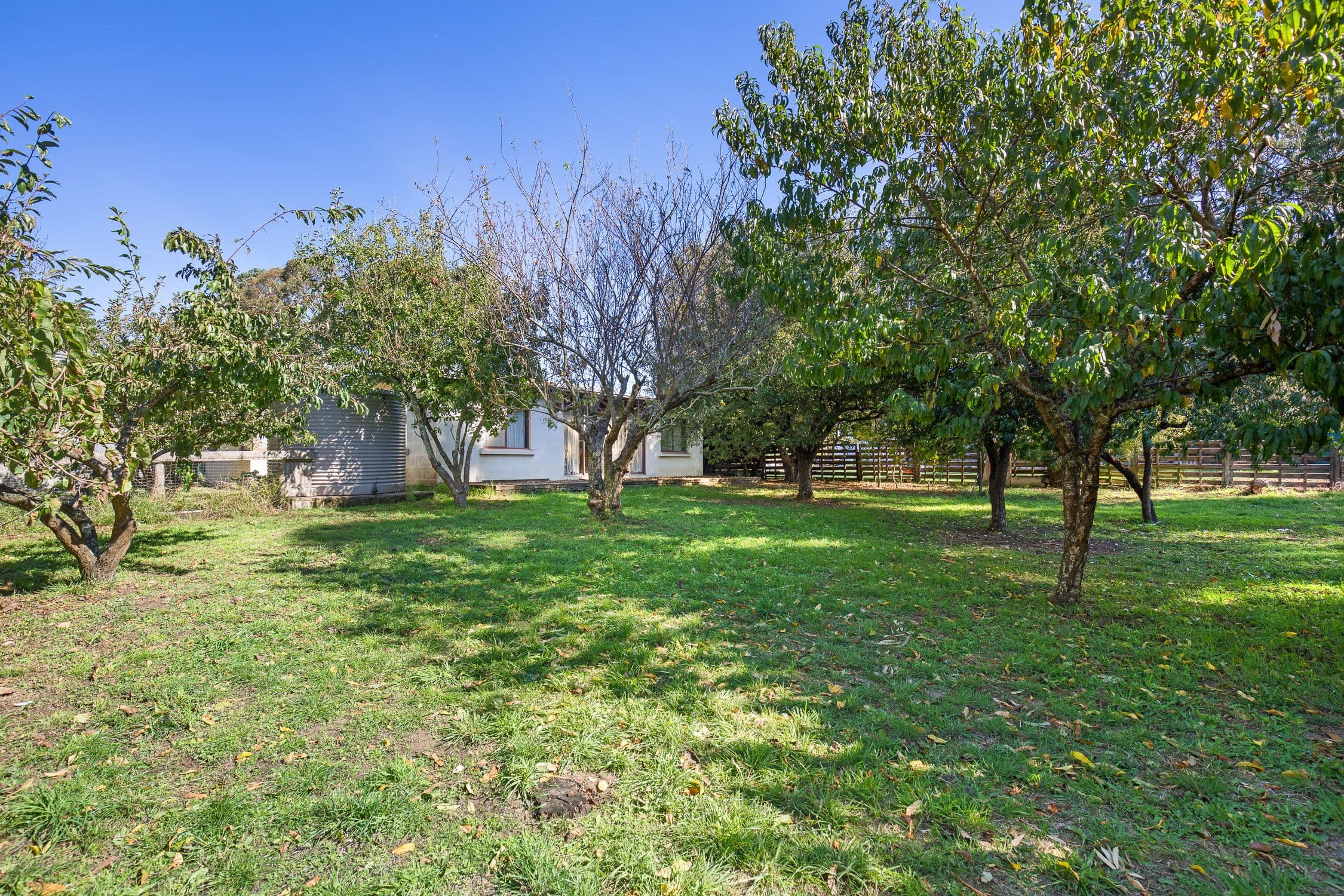 41 Guerin Lane, Glencoe SA 5291, Glencoe - Thumbnail 8