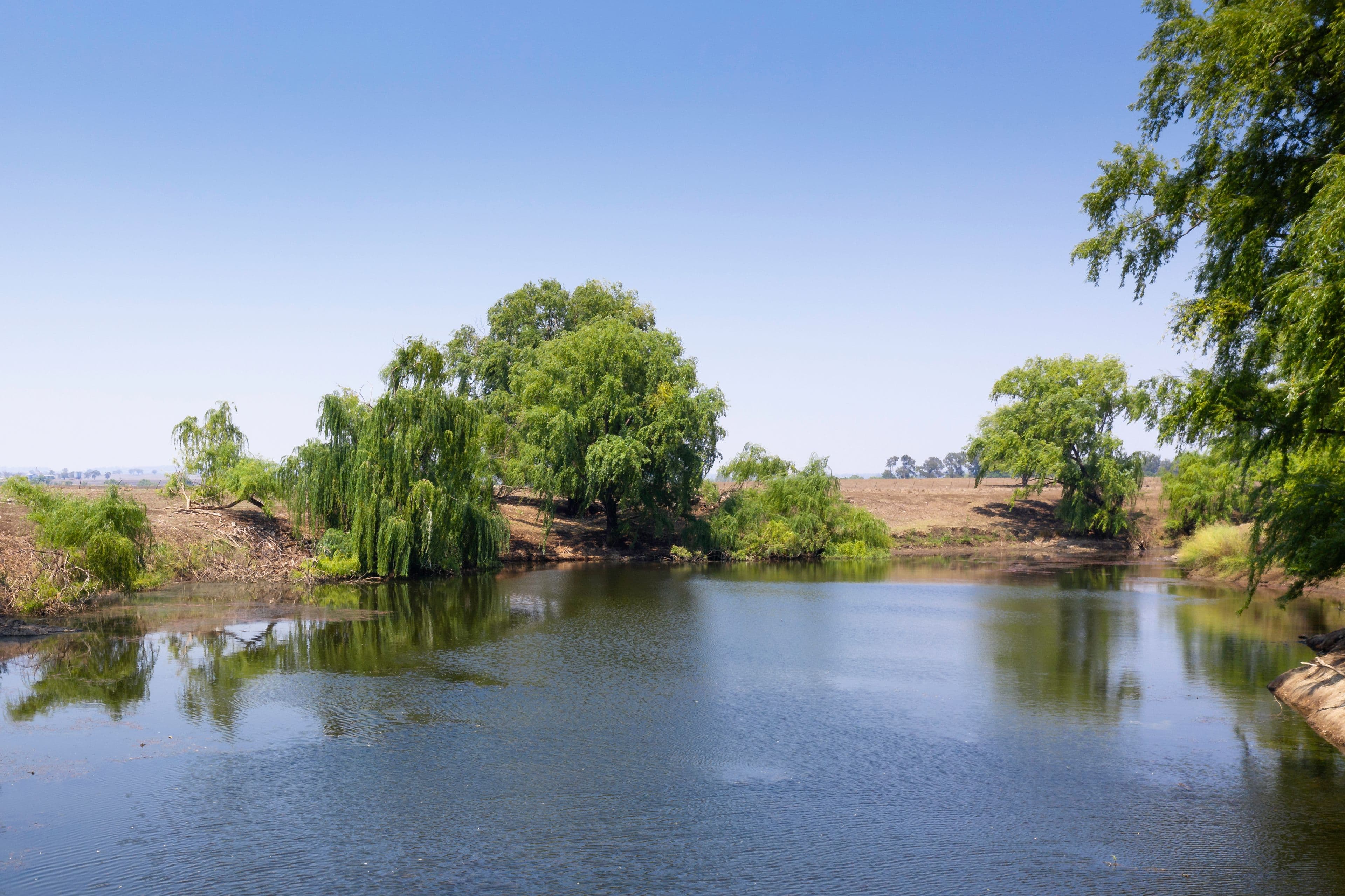 460 Wynella Road, Oakwood NSW 2360, Oakwood - Thumbnail 2