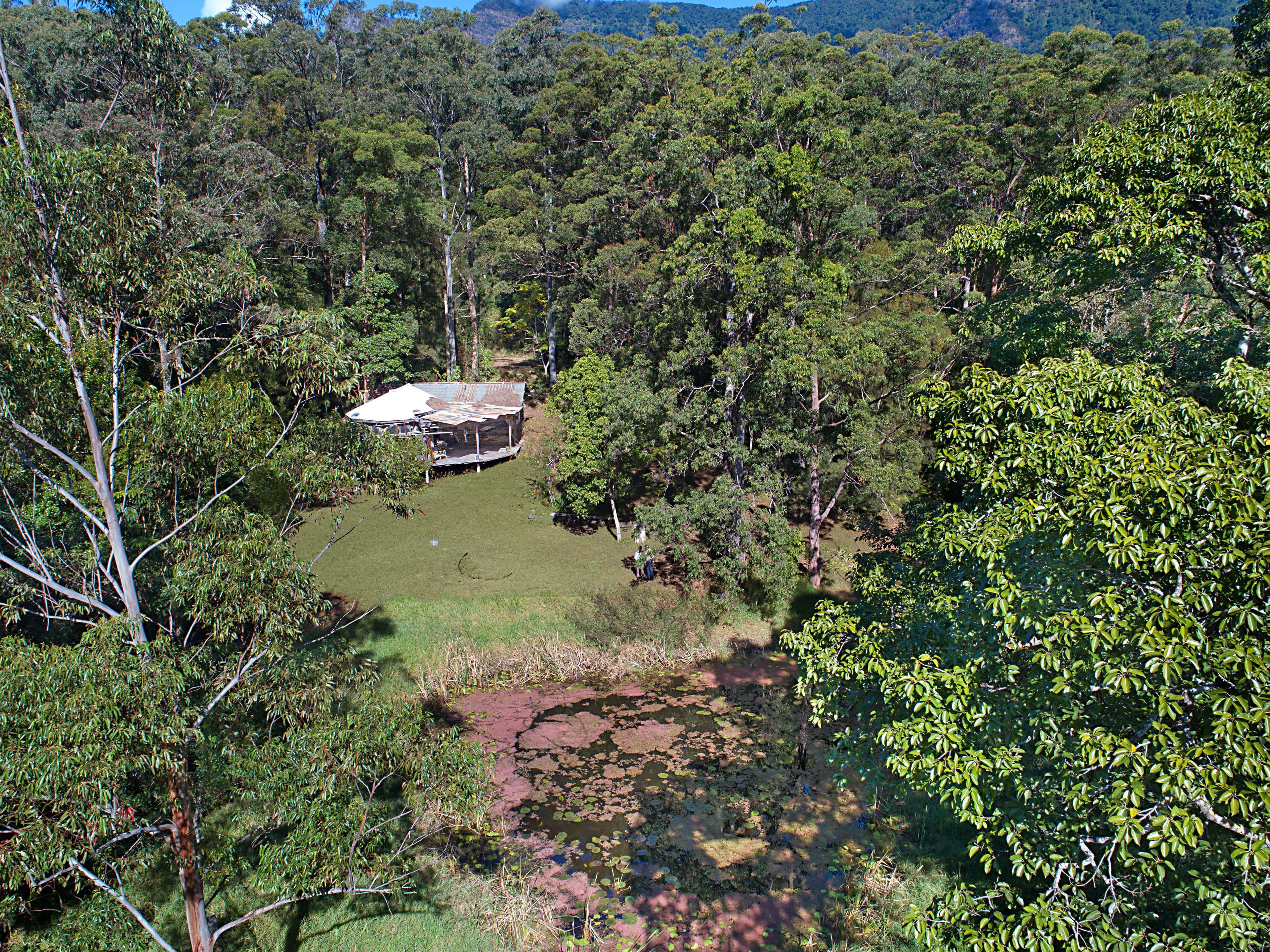 Lot 18, 215 Everinghams Road, Pumpenbil NSW 2484, Pumpenbil - Thumbnail 2