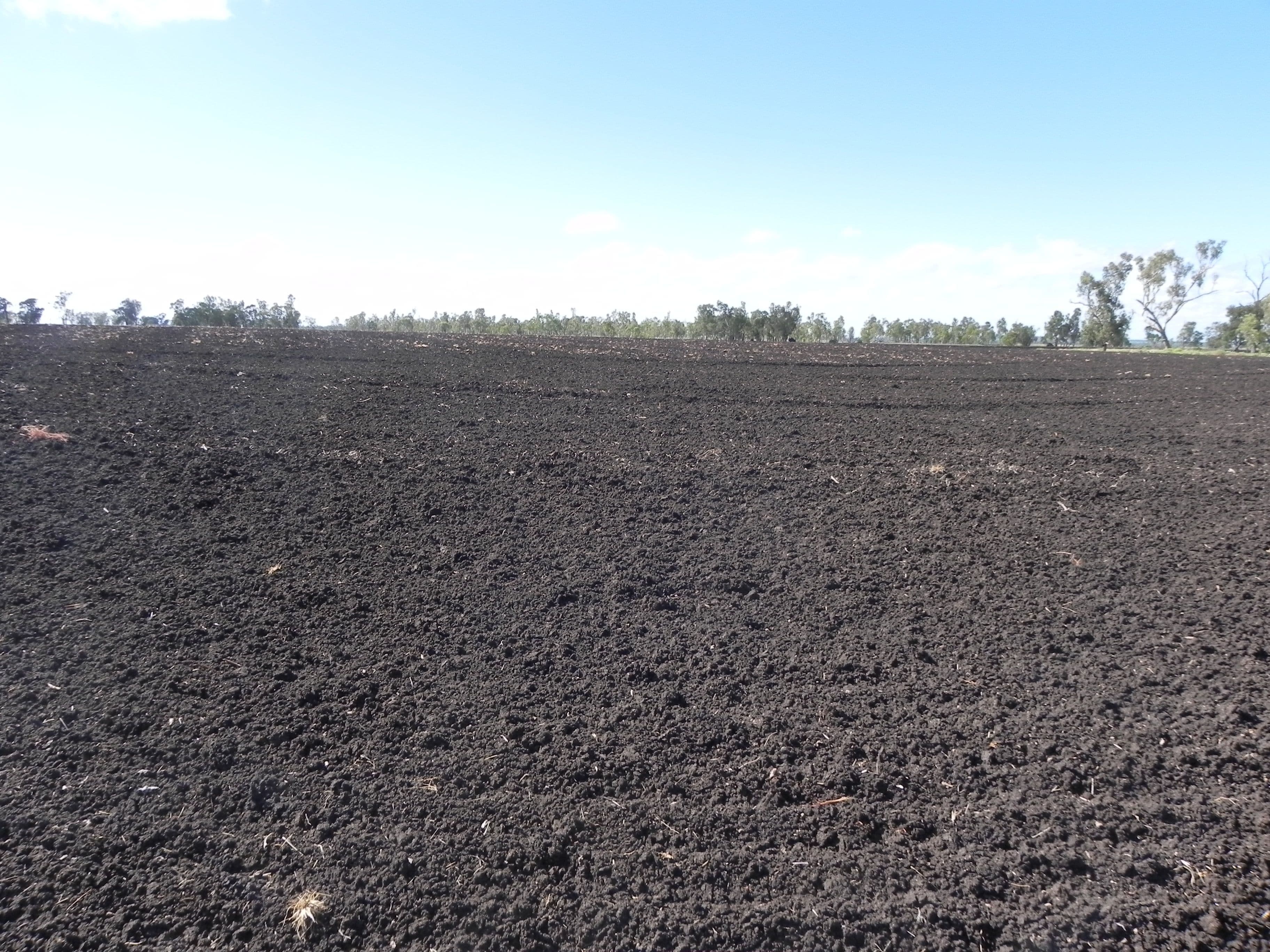 1663 Millmerran Leyburn Road, Tummaville QLD 4352, Tummaville - Thumbnail 8