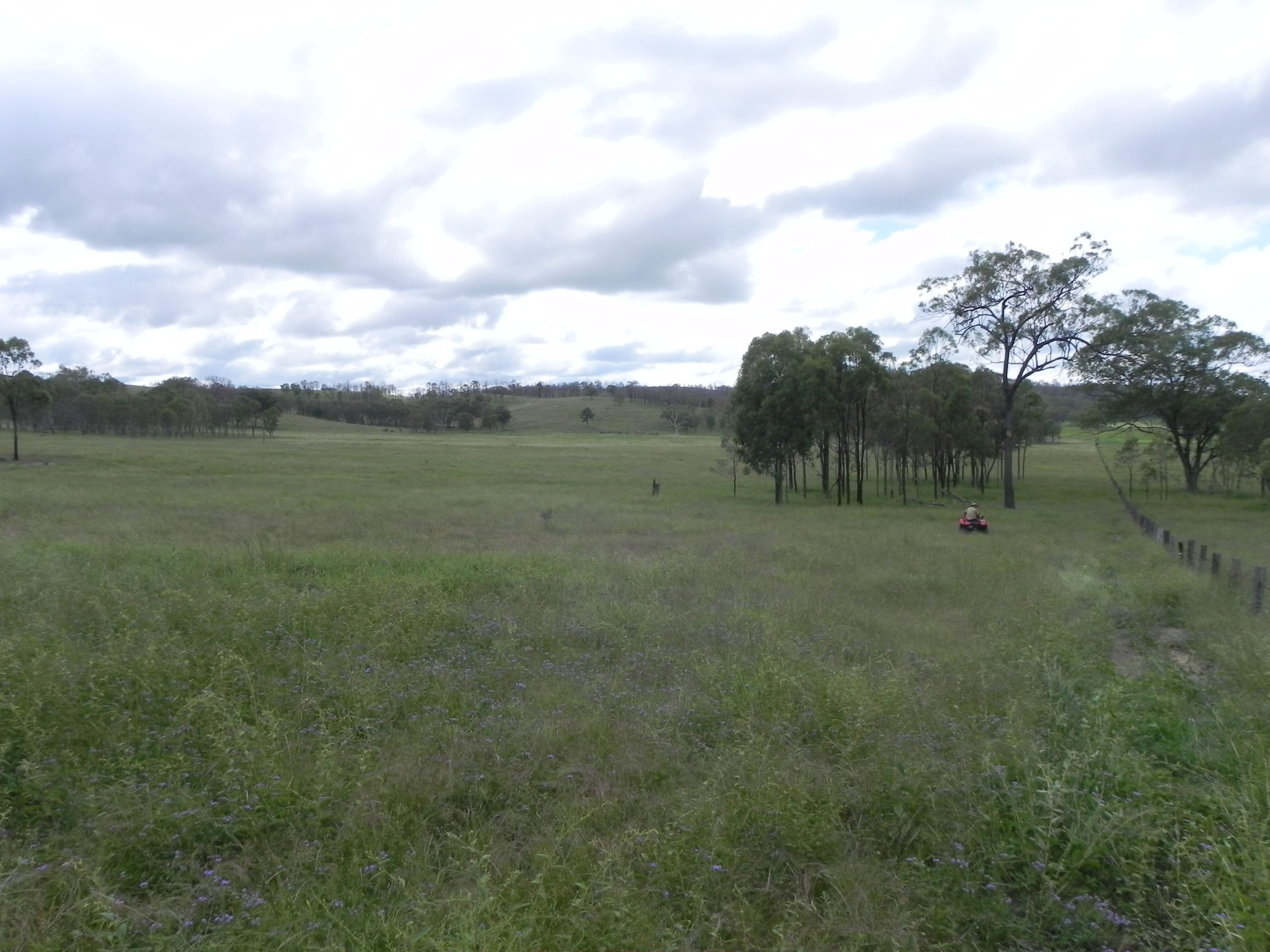 0 Cunningham Highway, Greymare QLD 4370, Greymare - Image 1