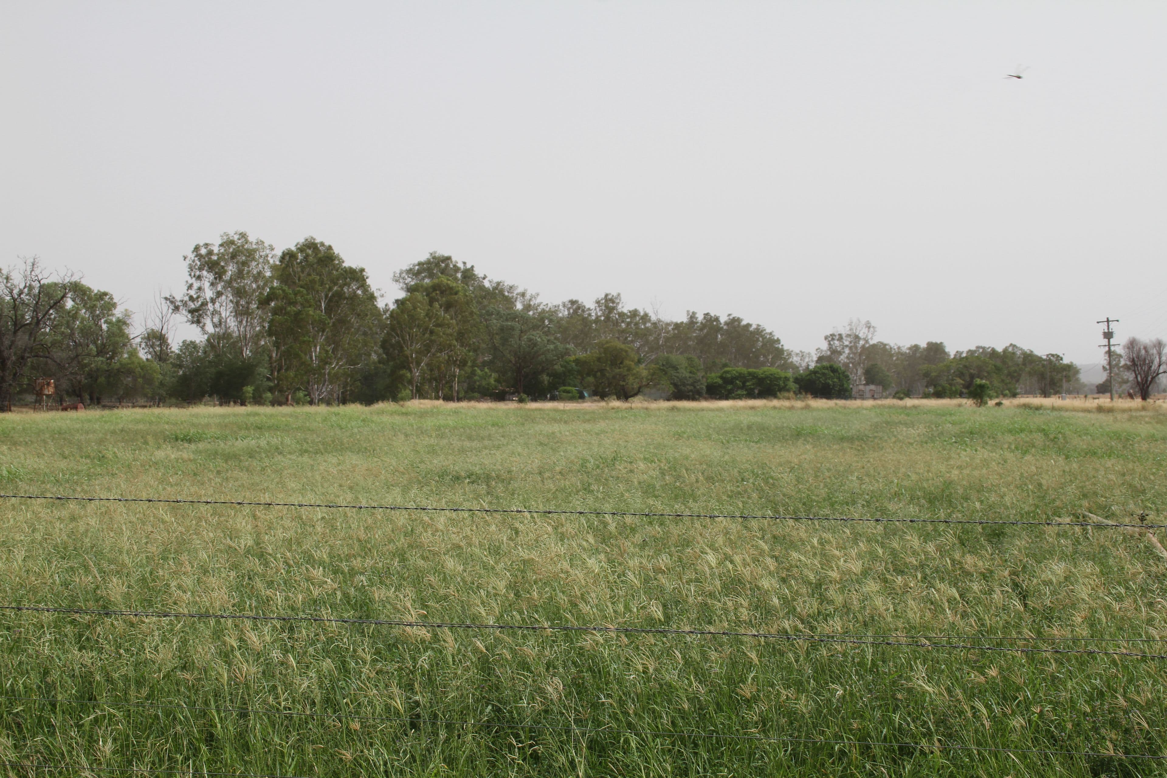 725 DEE RIVER Road, Dululu QLD 4702, Dululu - Image 1
