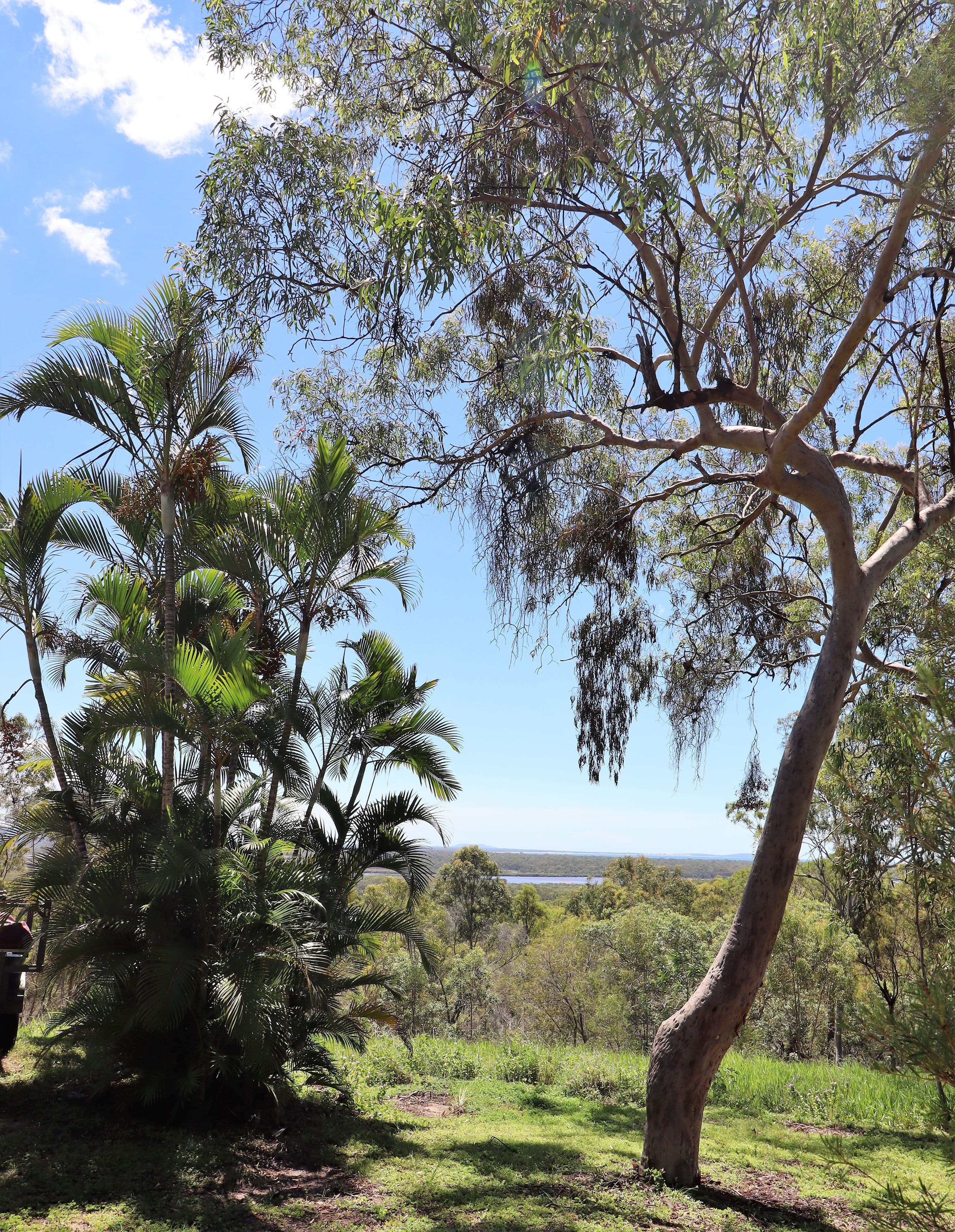 52 Mary Munro Crescent, Agnes Water QLD 4677, Agnes Water - Thumbnail 4