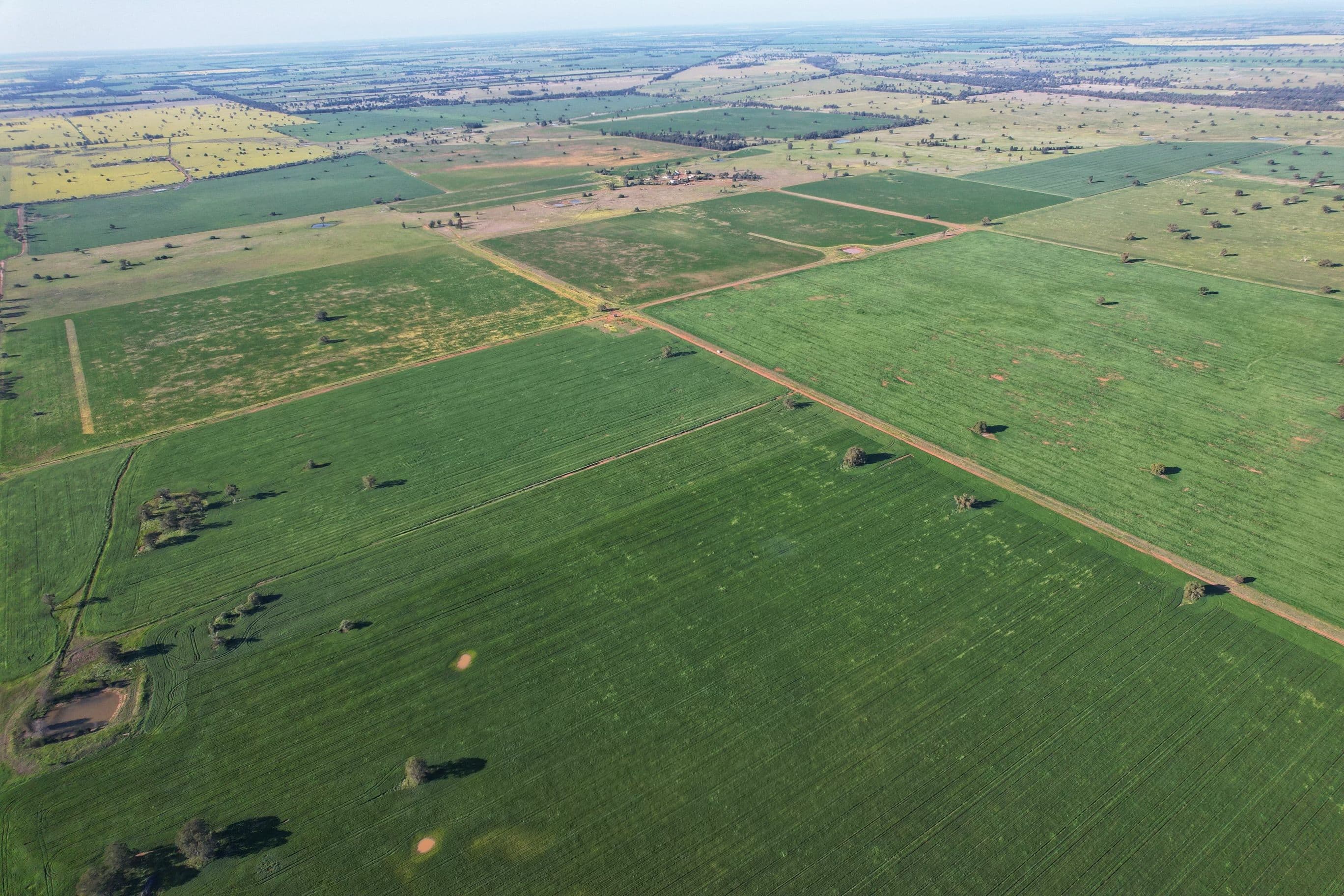 1 Lisgar Lane, Tullamore NSW 2874, Tullamore - Thumbnail 8