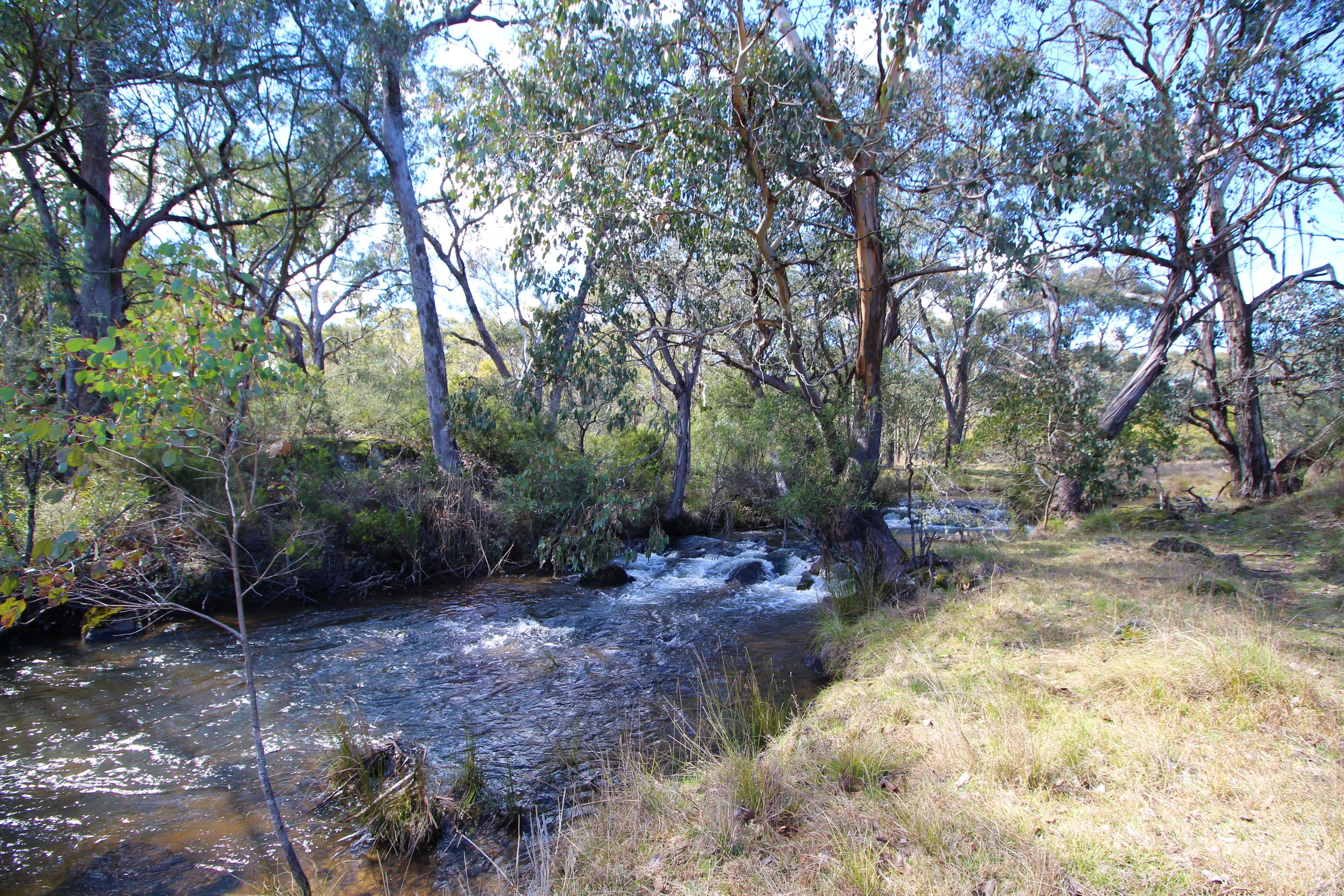 1743 Tooma Road, Paddys River NSW 2653, Paddys River - Thumbnail 3