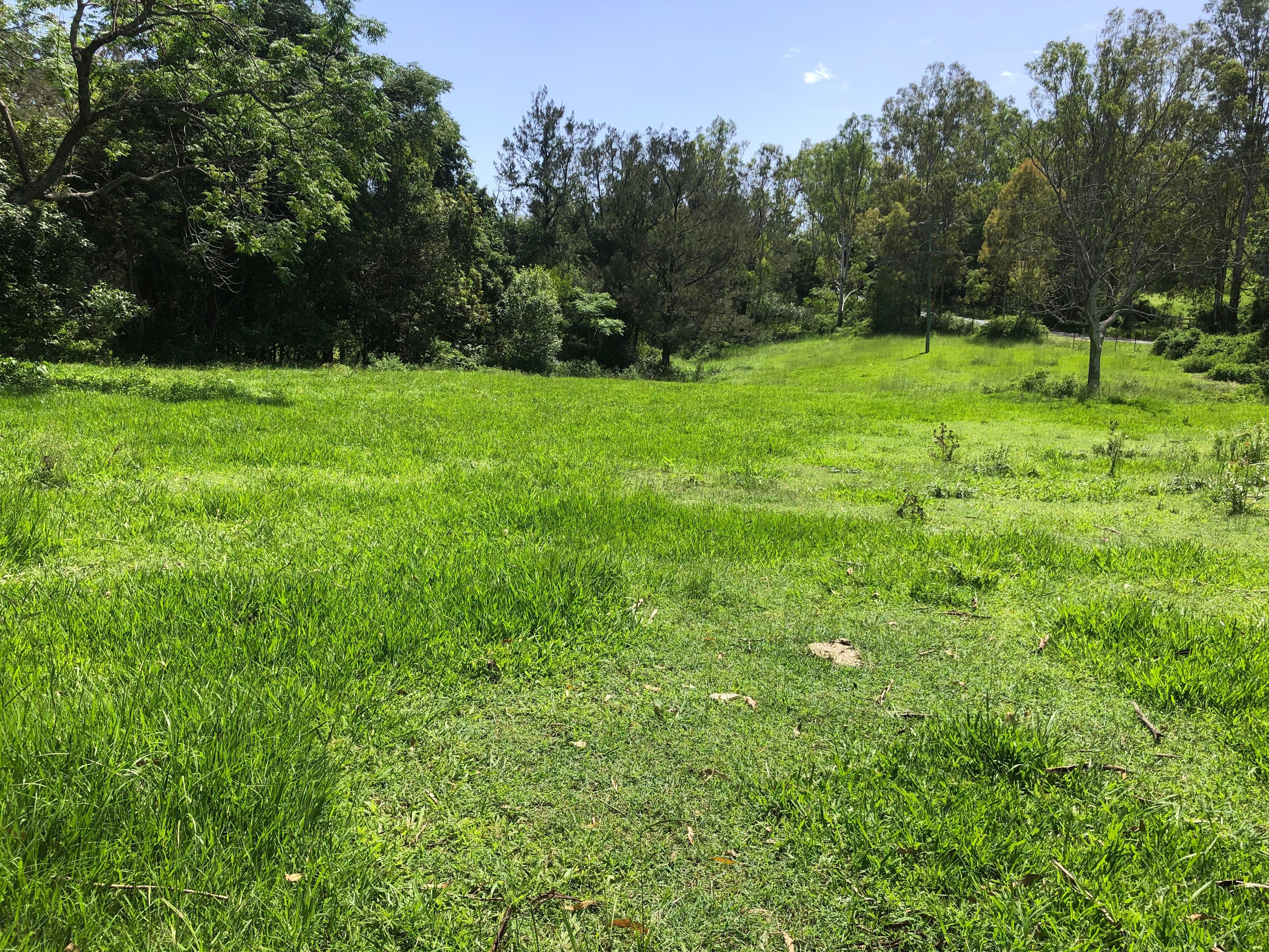 1202 Laceys Creek Road, Laceys Creek QLD 4521, Laceys Creek - Thumbnail 3