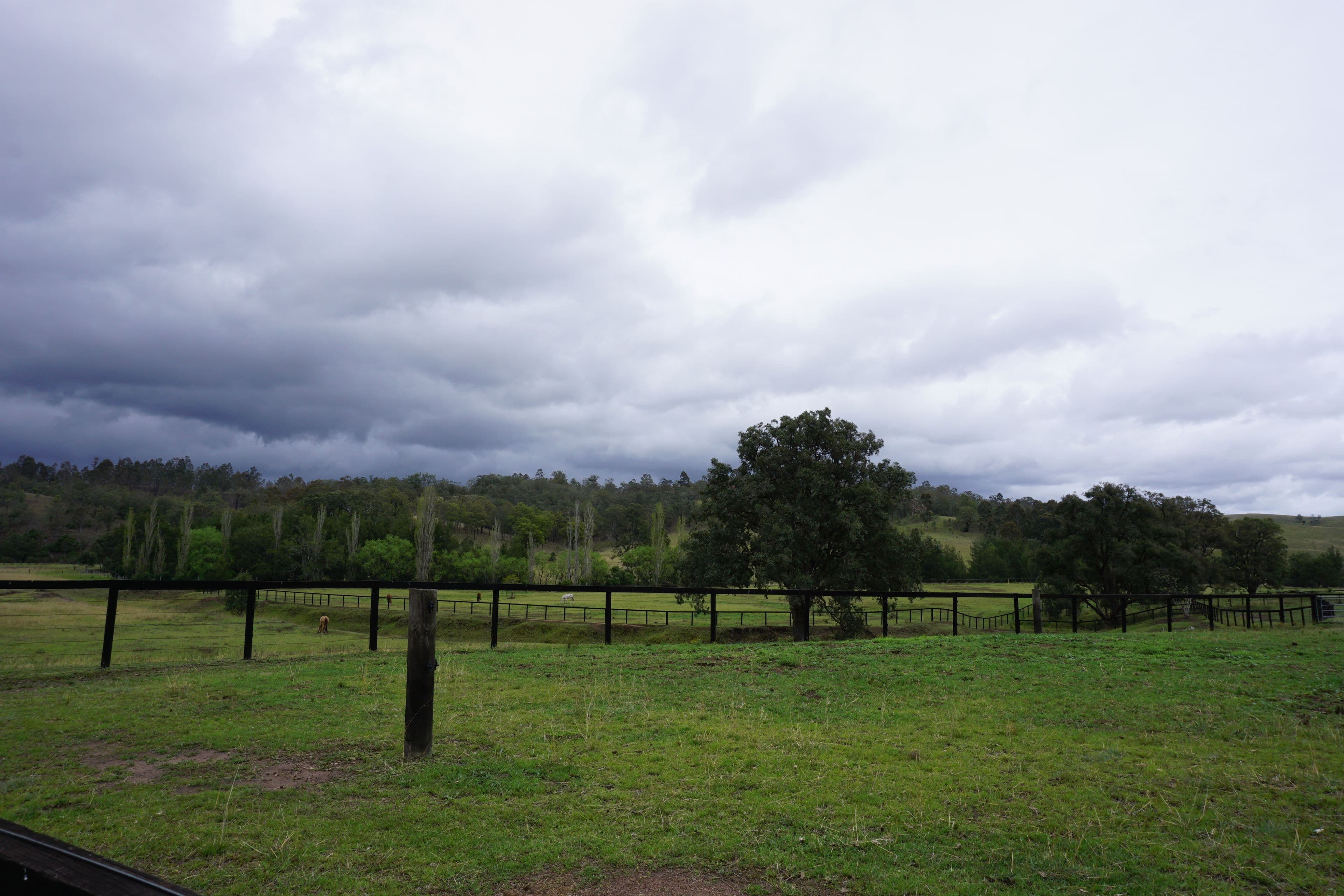 1475 Mirannie Road, Singleton NSW 2330, Singleton - Thumbnail 5