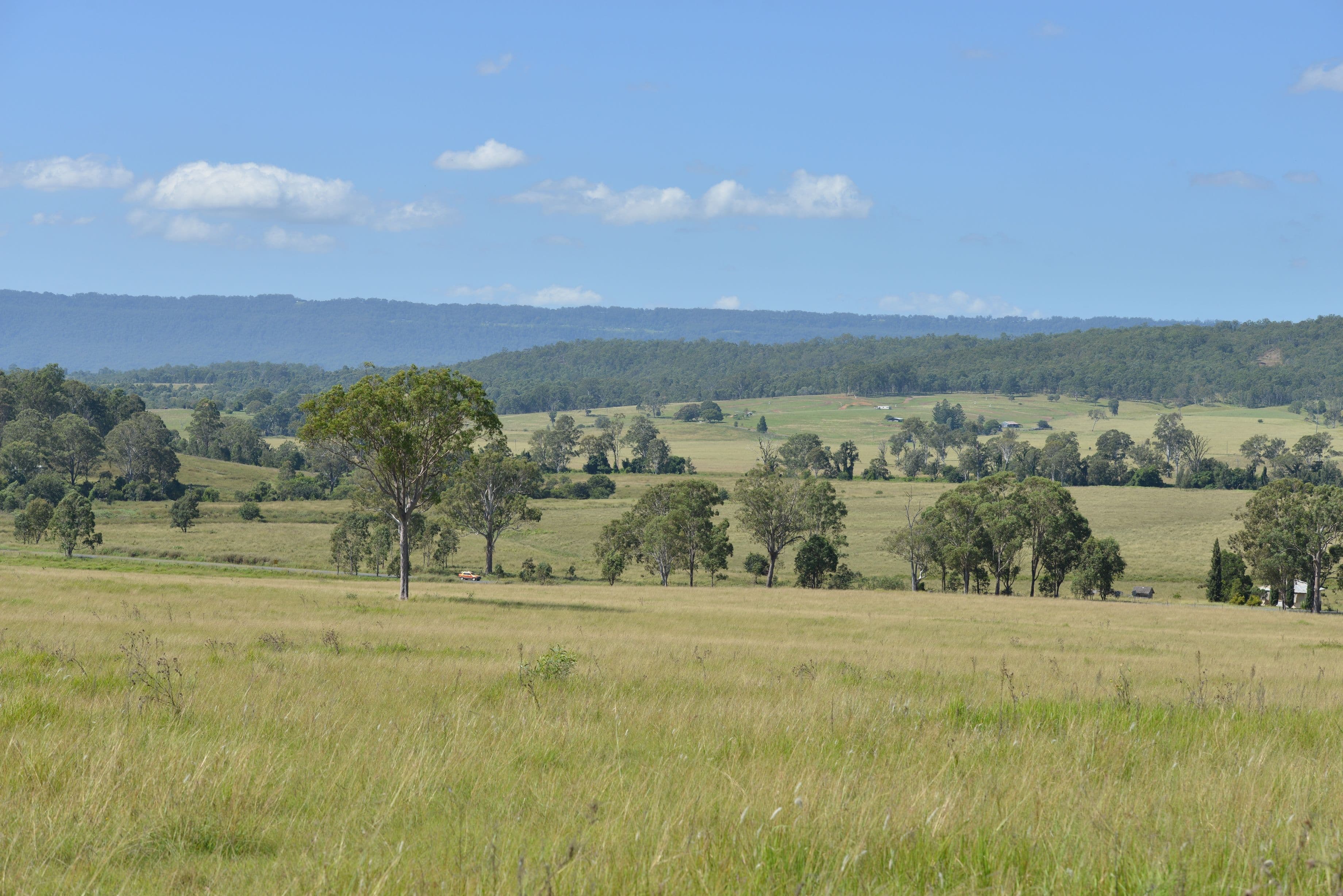 4180 Beaudesert Nerang Road, Tabragalba QLD 4285, Tabragalba - Thumbnail 4
