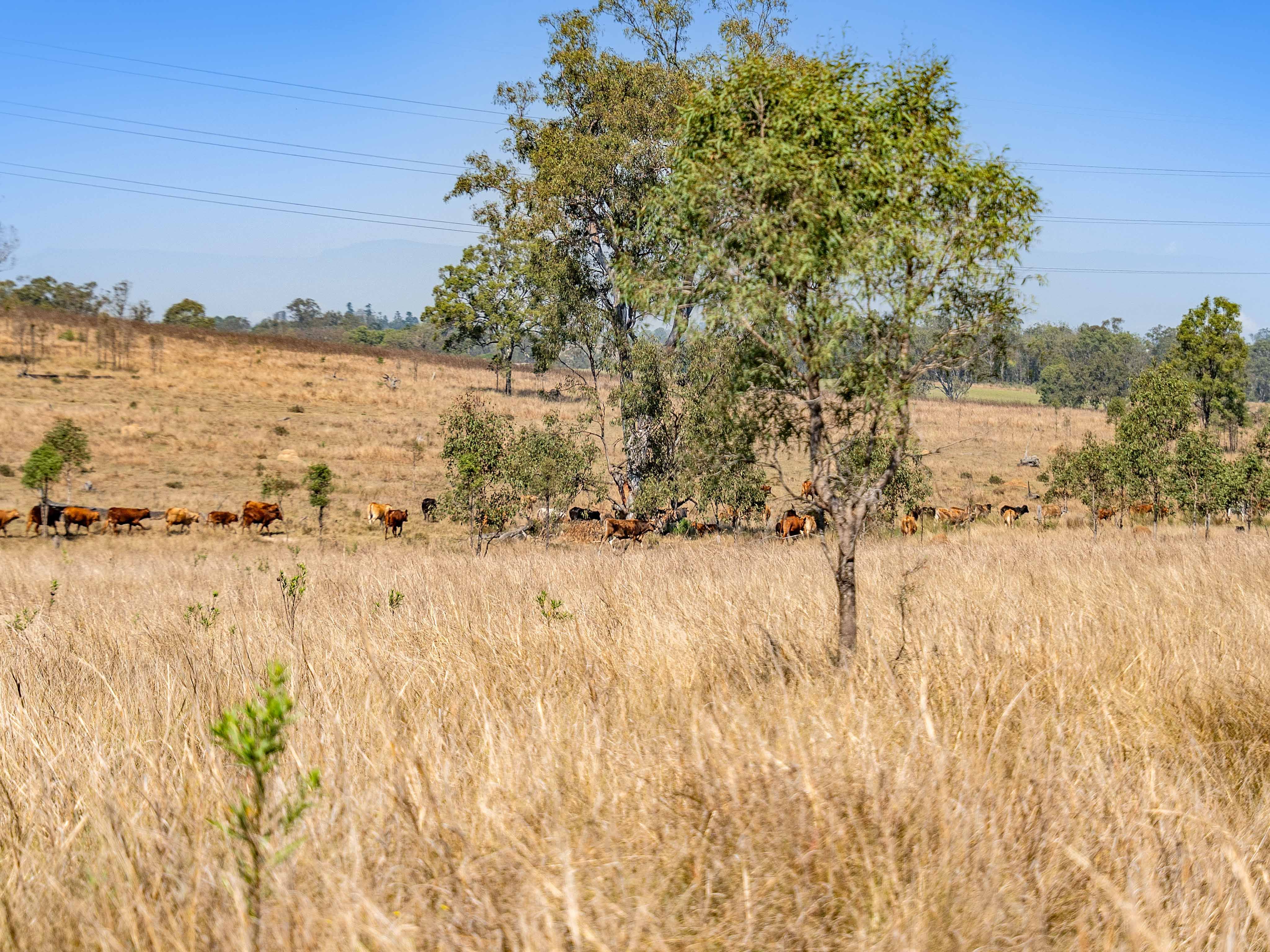 Unnamed Road, Mount Forbes QLD 4340, Mount Forbes - Thumbnail 4